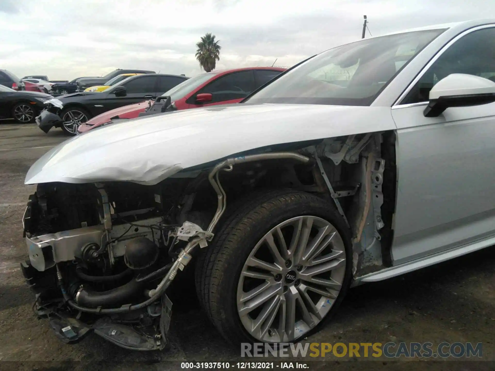 6 Photograph of a damaged car WAUENAF44KN020049 AUDI A4 2019