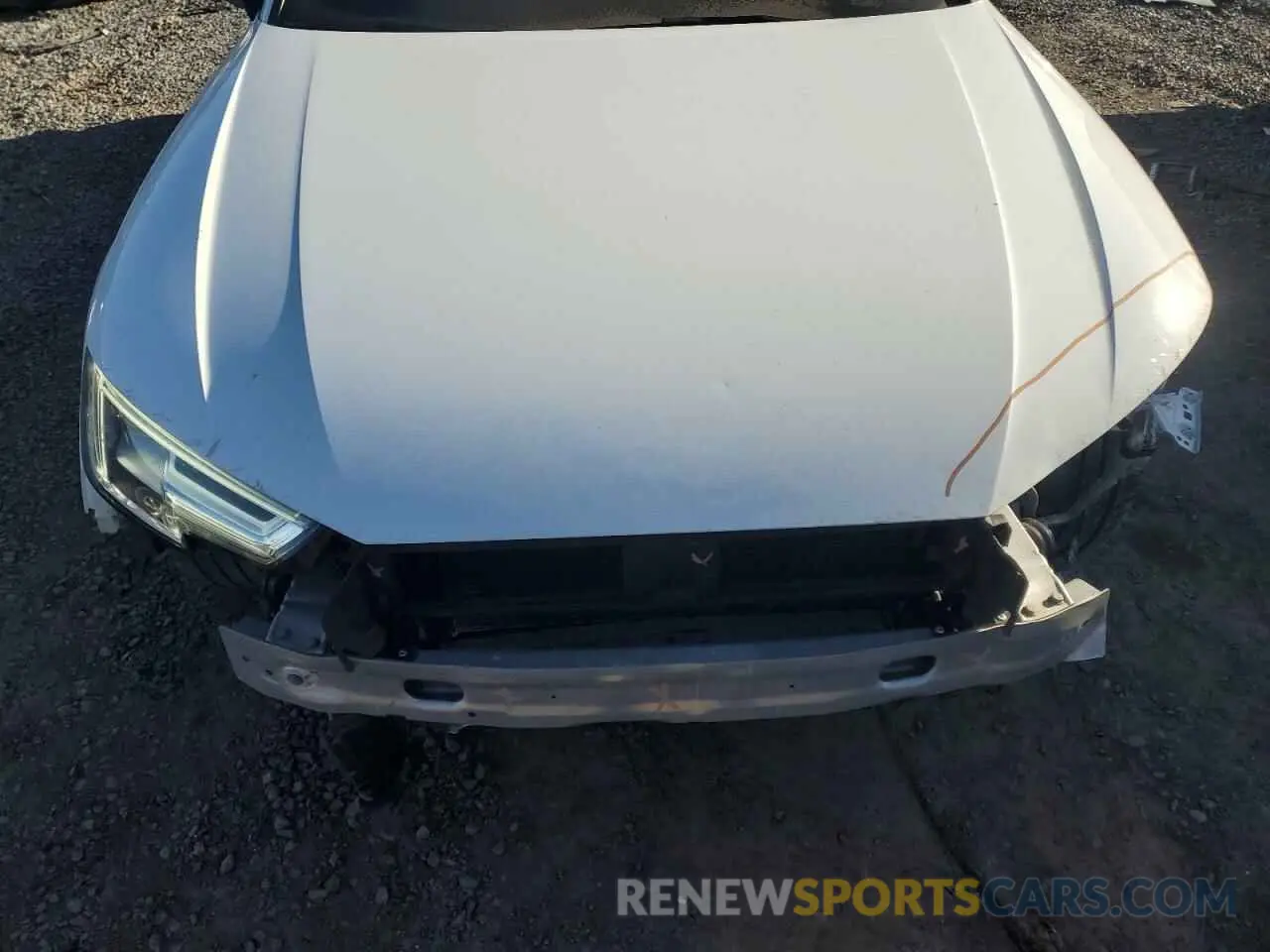 11 Photograph of a damaged car WAUENAF48KA118881 AUDI A4 2019