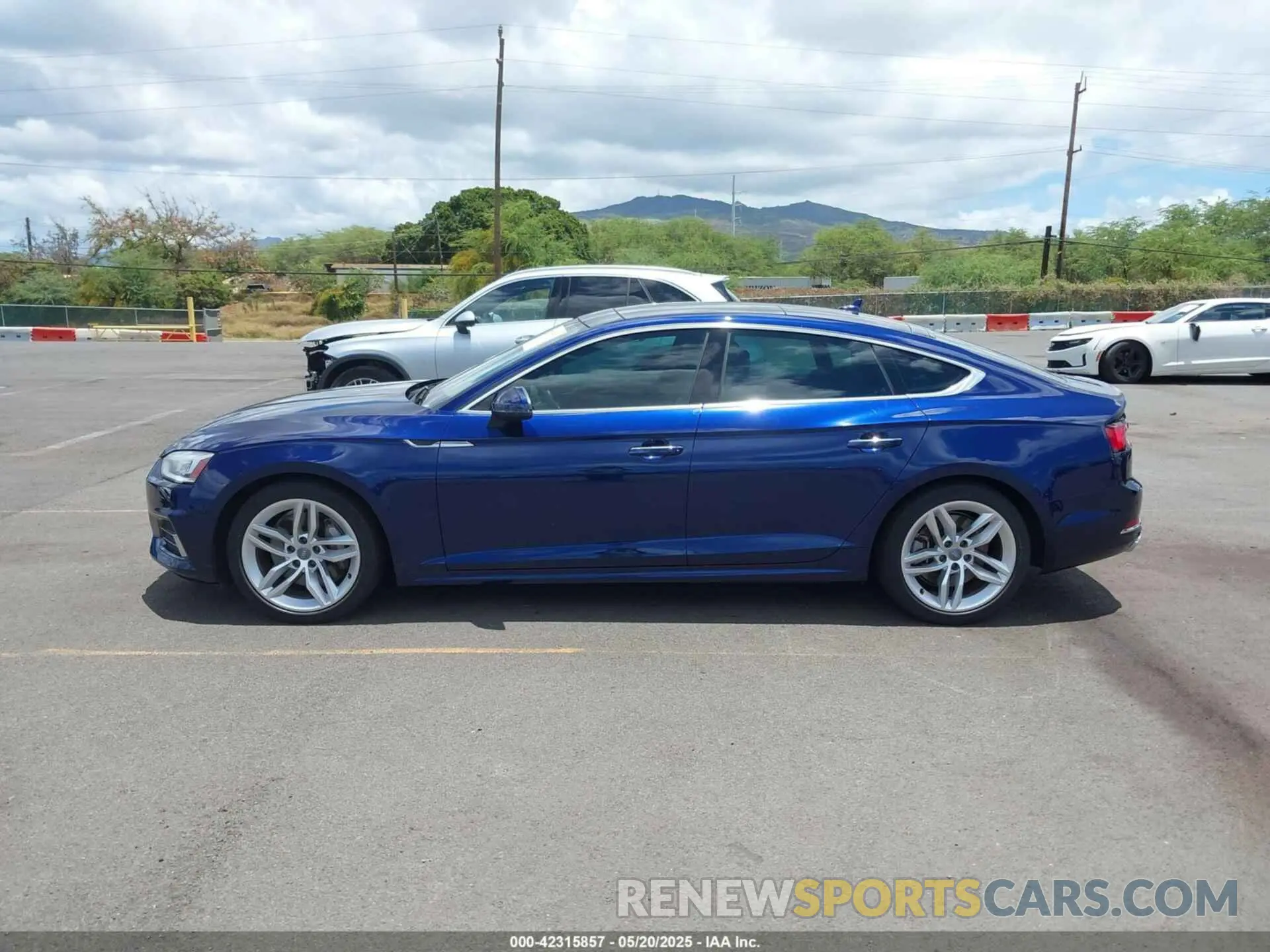 14 Photograph of a damaged car WAUANCF54KA080147 AUDI A5 2019
