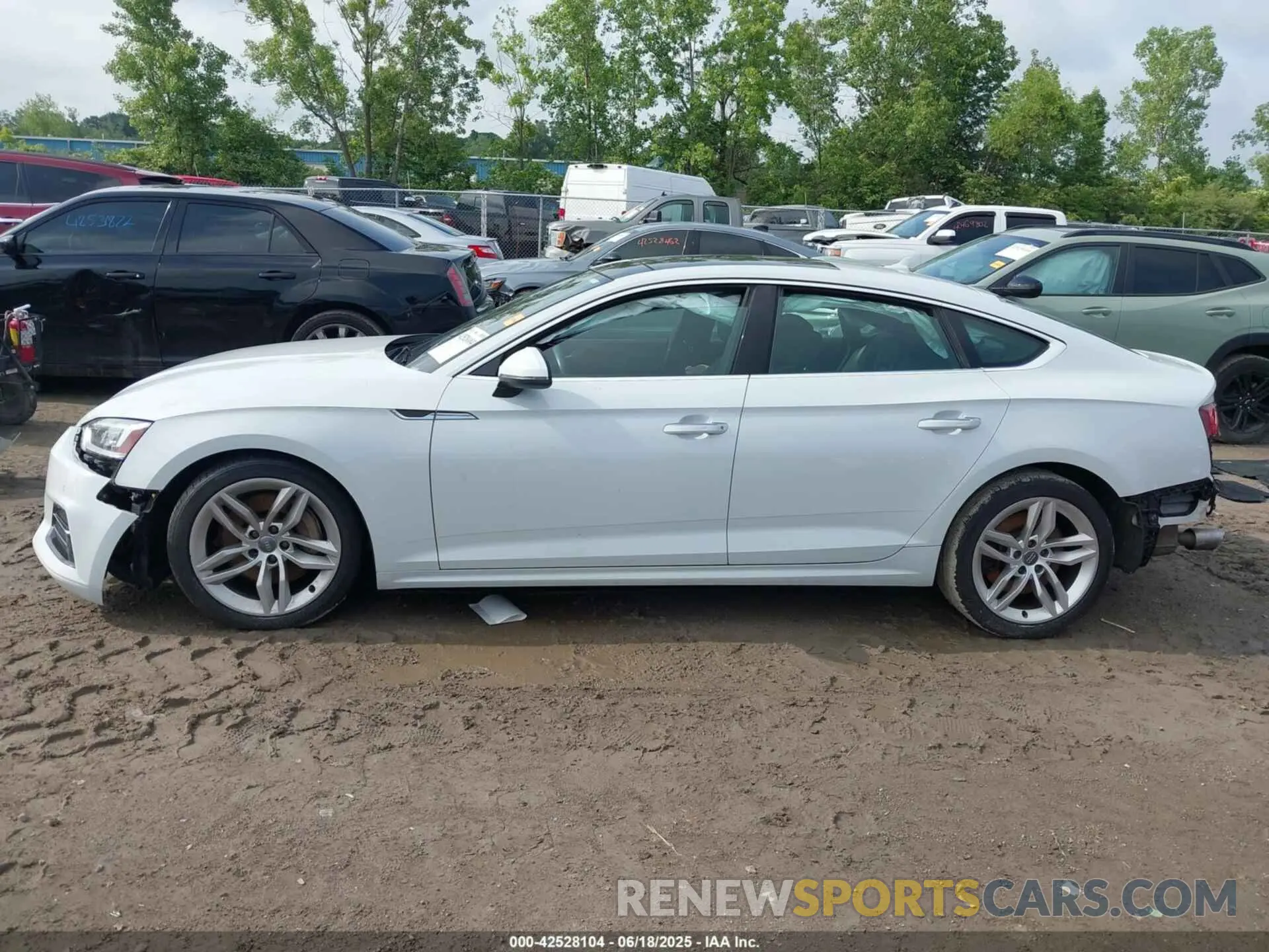 13 Photograph of a damaged car WAUBNCF56KA015689 AUDI A5 2019