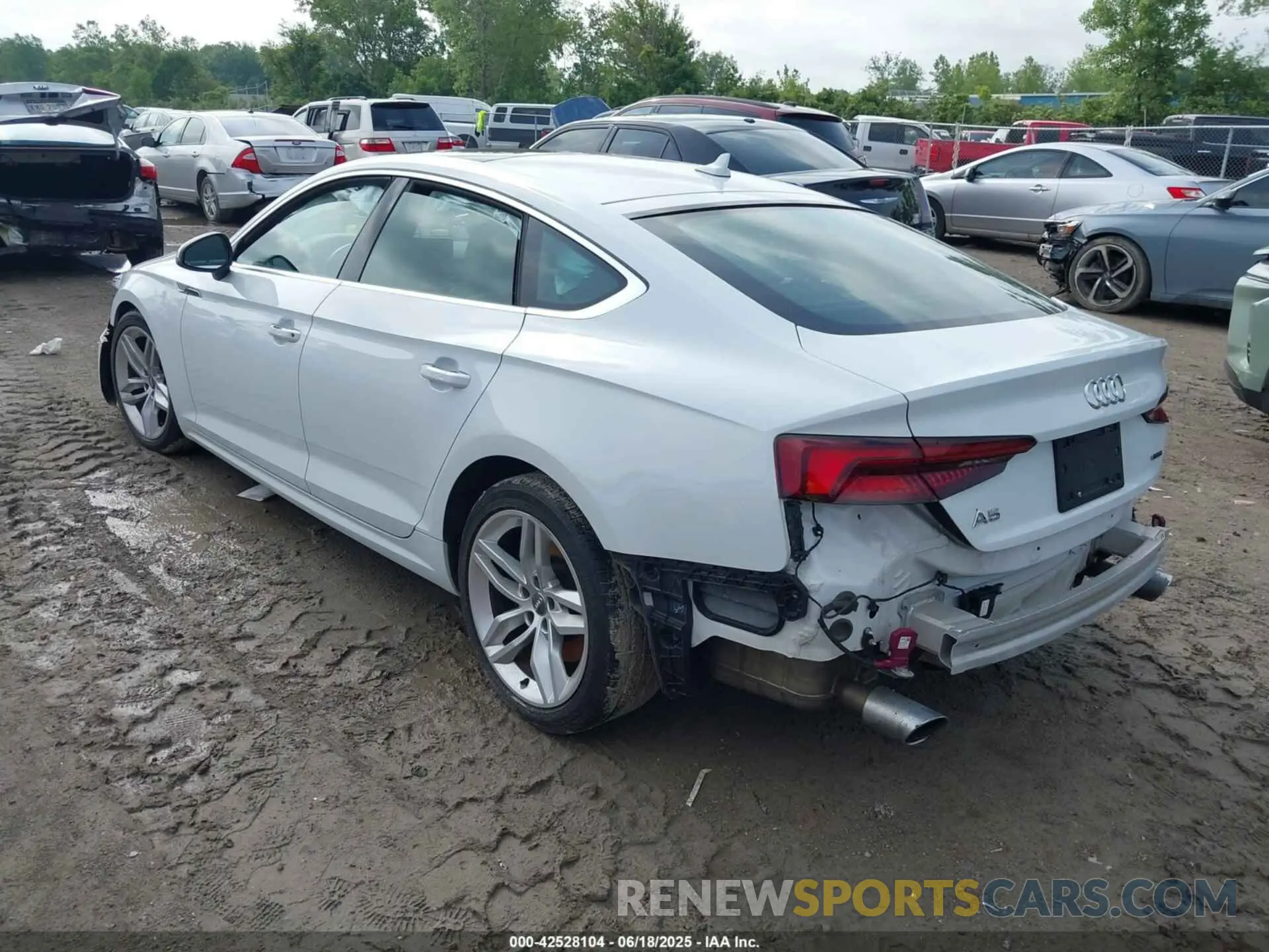 3 Photograph of a damaged car WAUBNCF56KA015689 AUDI A5 2019