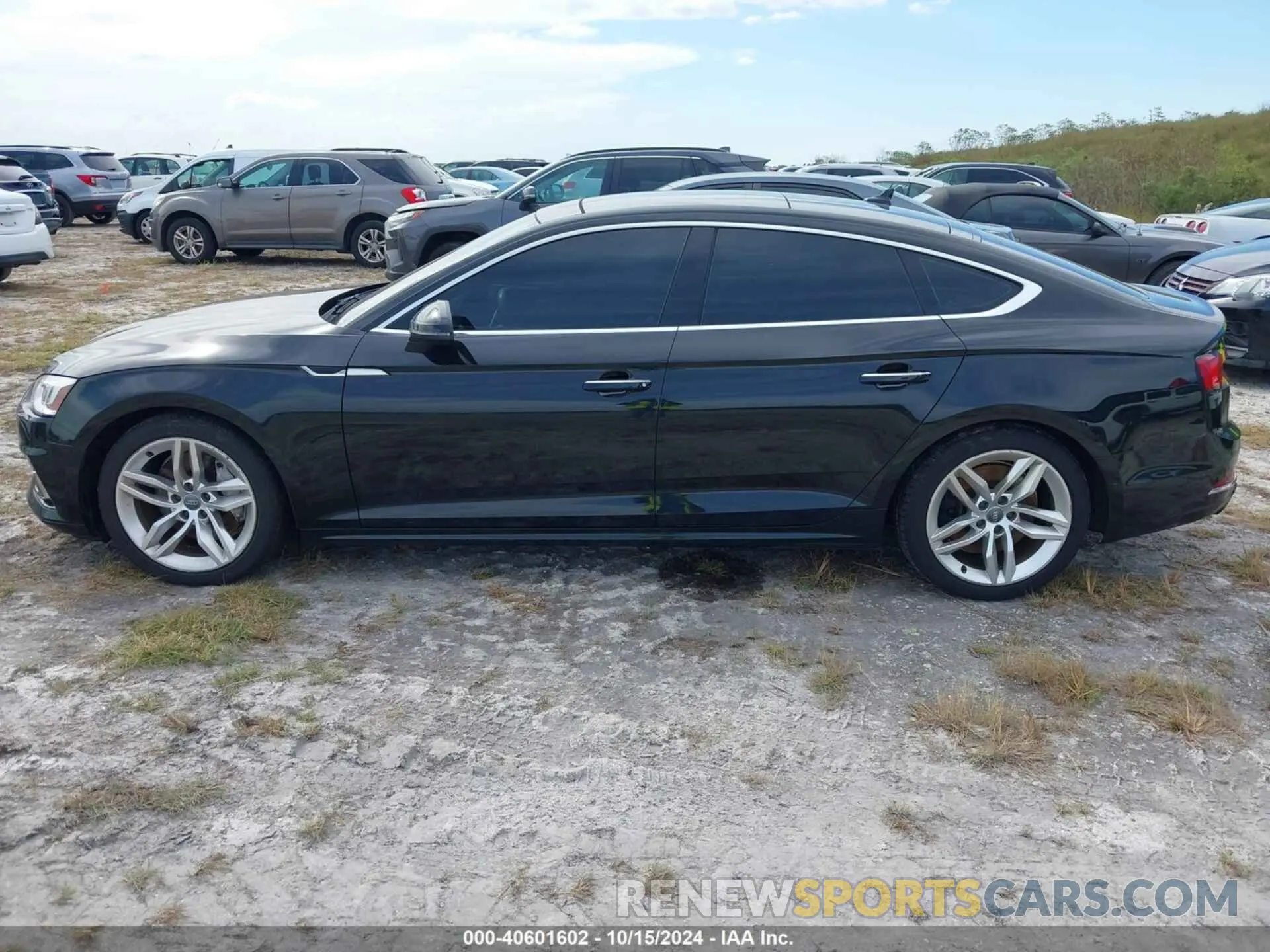 14 Photograph of a damaged car WAUCNCF55KA006244 AUDI A5 2019