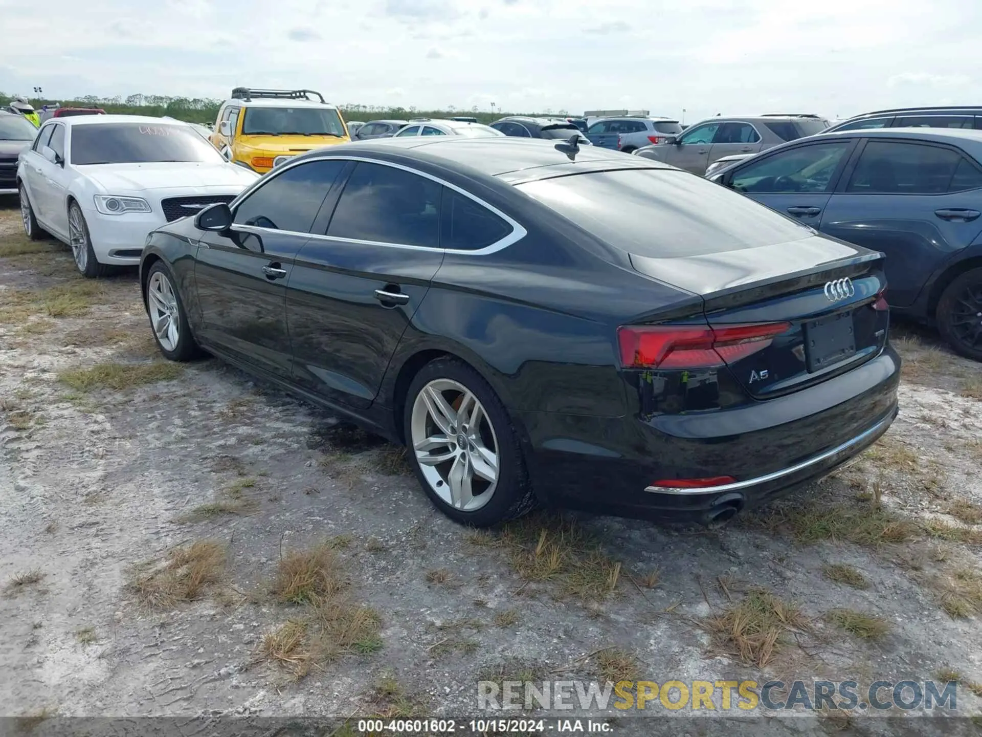 3 Photograph of a damaged car WAUCNCF55KA006244 AUDI A5 2019