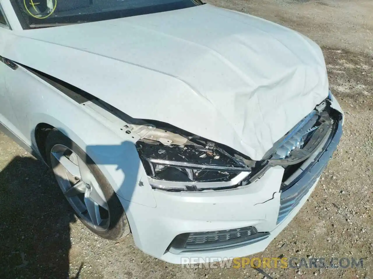 9 Photograph of a damaged car WAUDNCF50KA026244 AUDI A5 2019