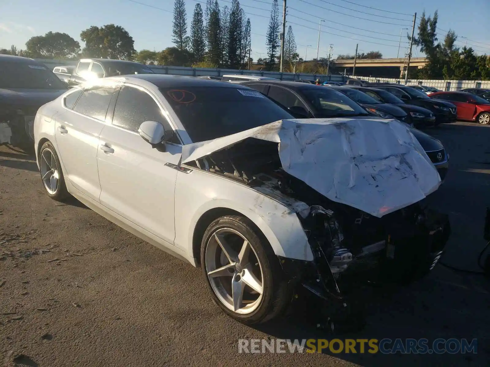 1 Photograph of a damaged car WAUENCF54KA070302 AUDI A5 2019