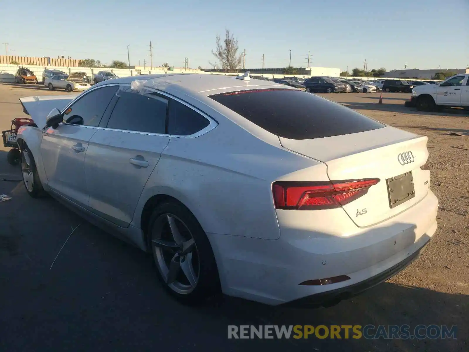 3 Photograph of a damaged car WAUENCF54KA070302 AUDI A5 2019