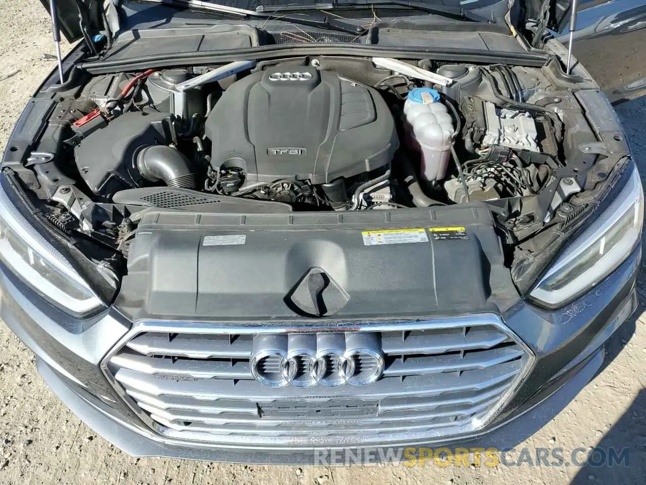 11 Photograph of a damaged car WAUENCF56KA016306 AUDI A5 2019