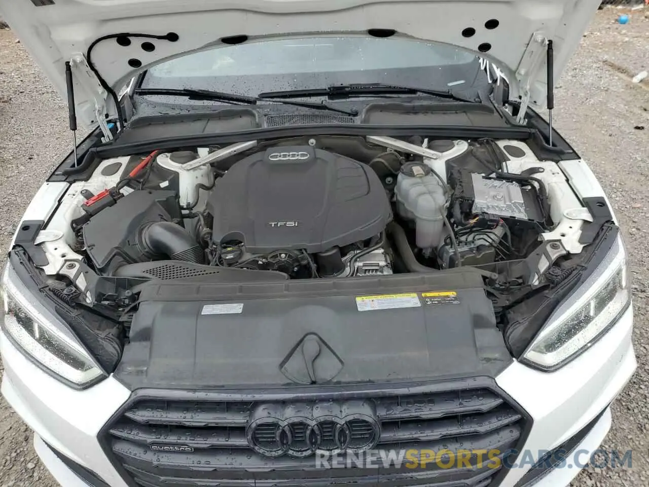 11 Photograph of a damaged car WAUENCF57KA082069 AUDI A5 2019