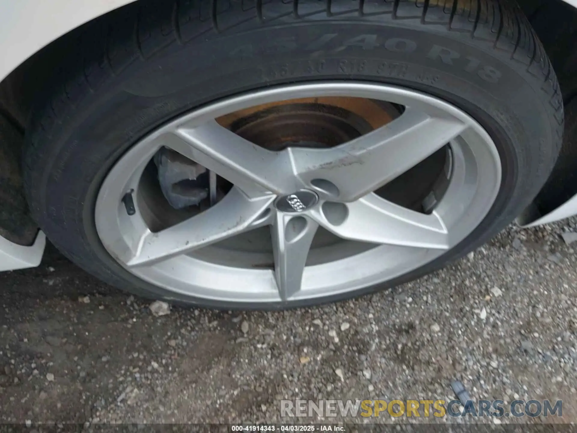 12 Photograph of a damaged car WAUFNCF51KA046530 AUDI A5 2019
