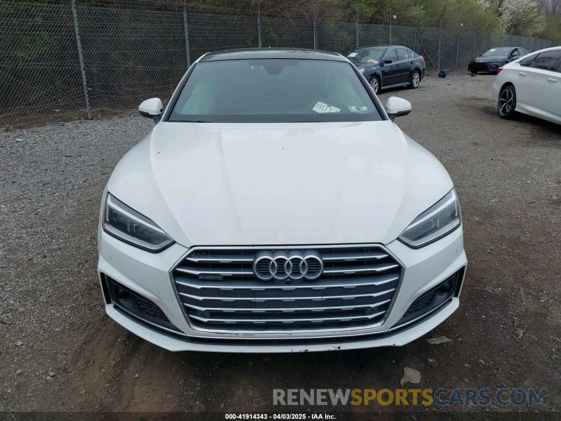 13 Photograph of a damaged car WAUFNCF51KA046530 AUDI A5 2019