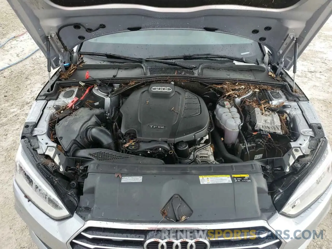 11 Photograph of a damaged car WAUYNGF57KN008969 AUDI A5 2019