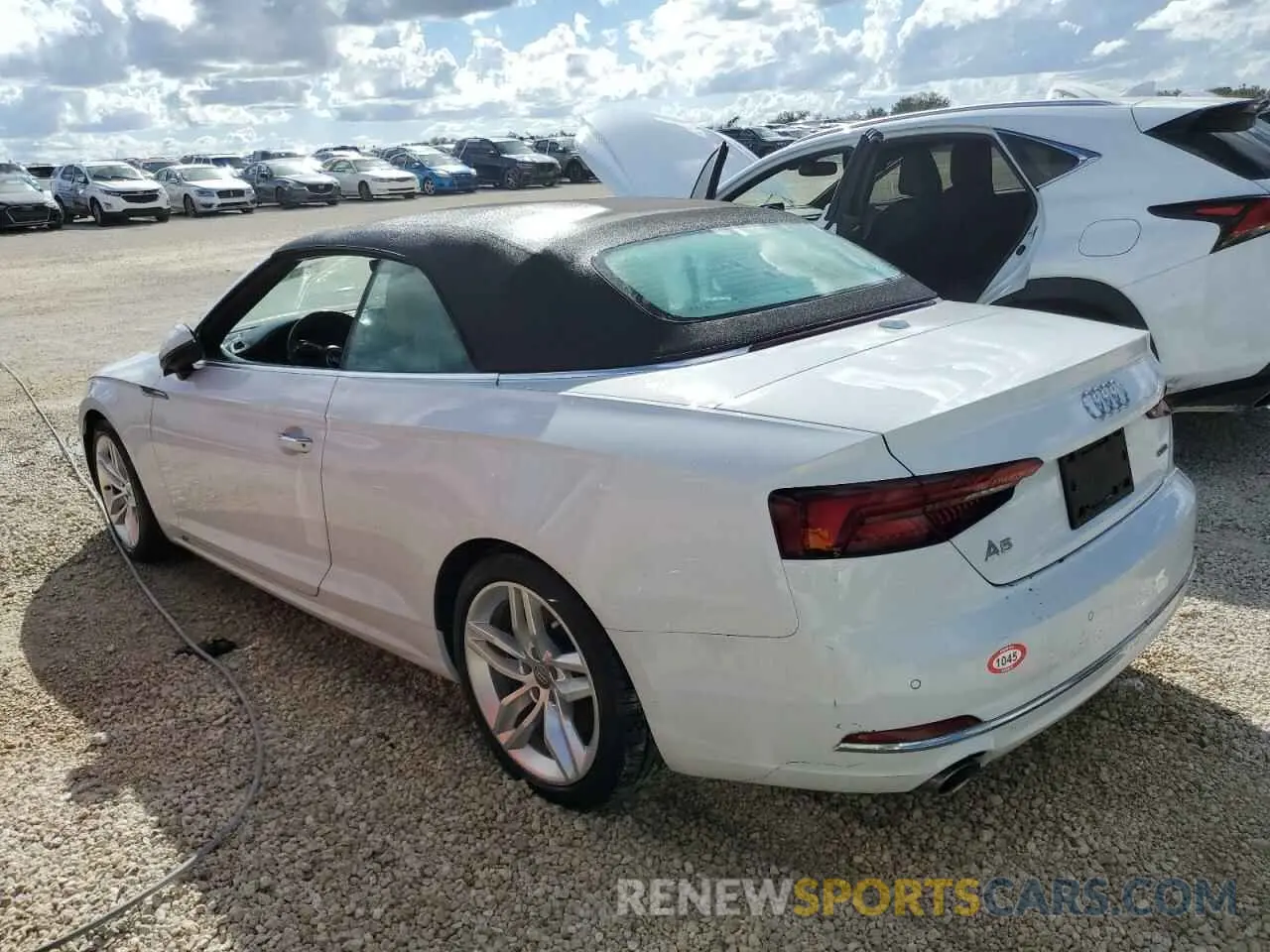 2 Photograph of a damaged car WAUYNGF59KN001568 AUDI A5 2019