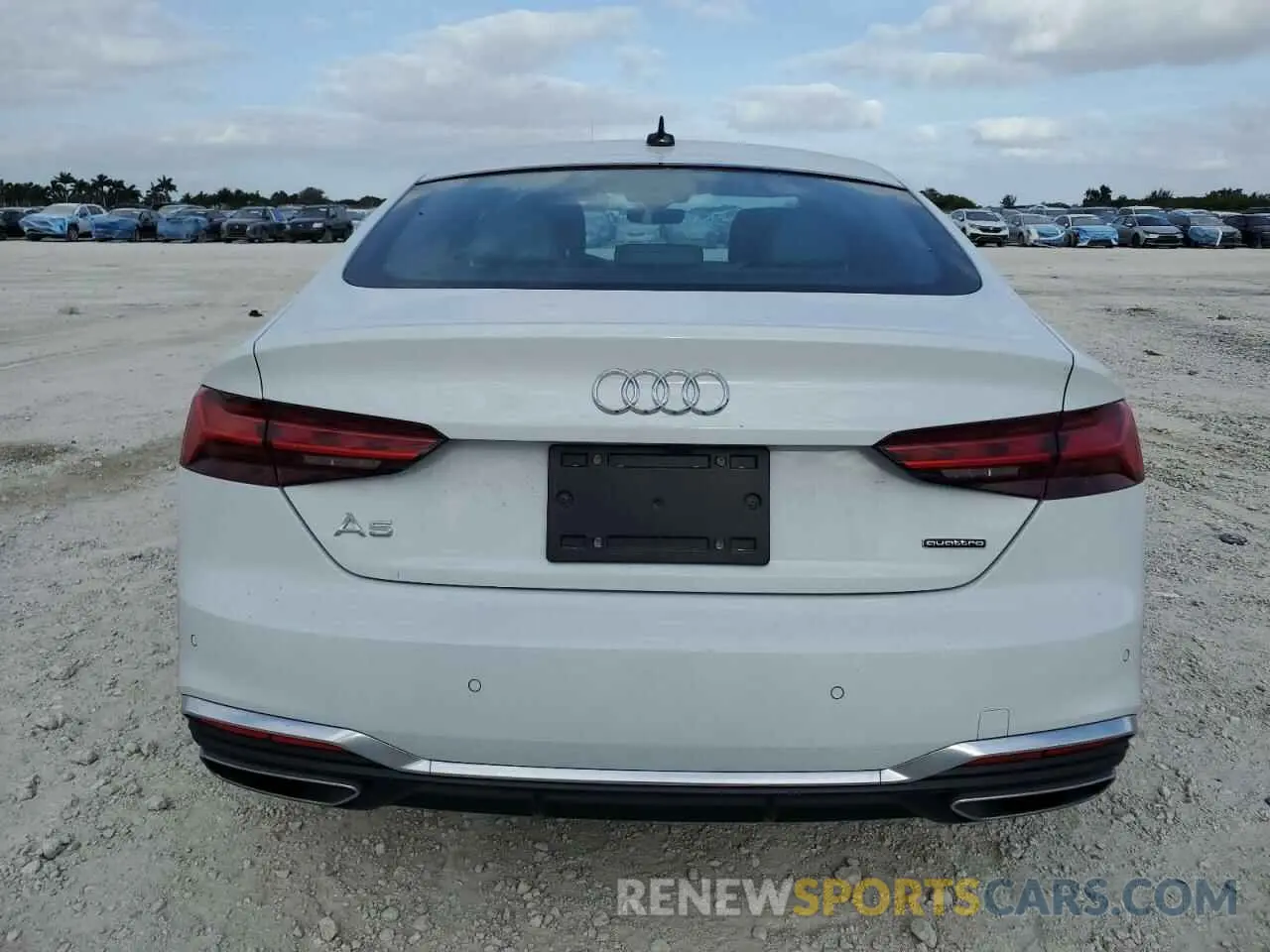 6 Photograph of a damaged car WAUDACF50RA078883 AUDI A5 2024