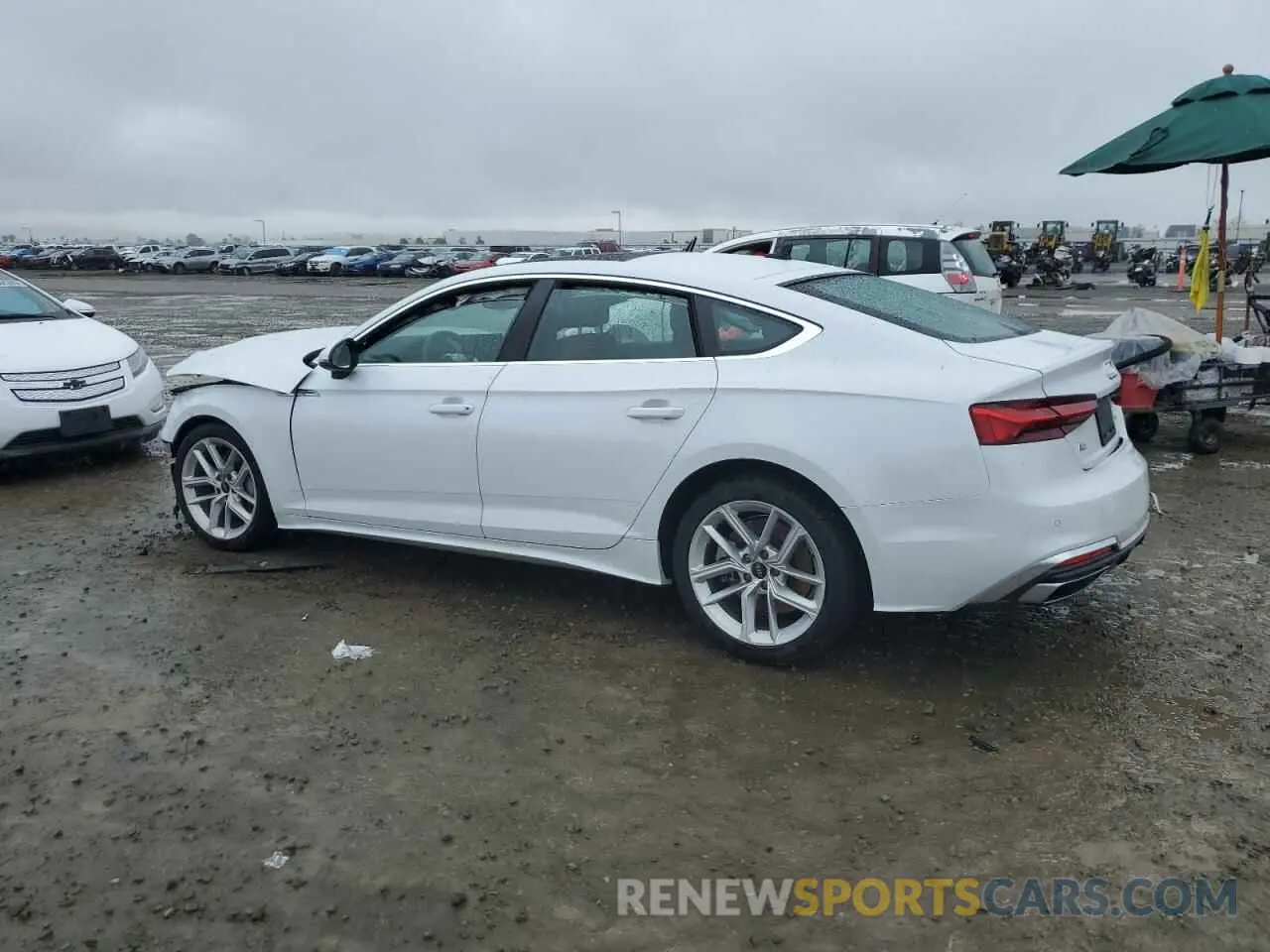 2 Photograph of a damaged car WAUDACF55RA055857 AUDI A5 2024