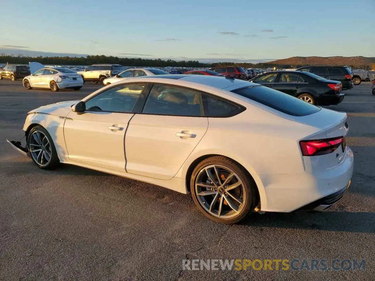 2 Photograph of a damaged car WAUDACF5XRA084903 AUDI A5 2024