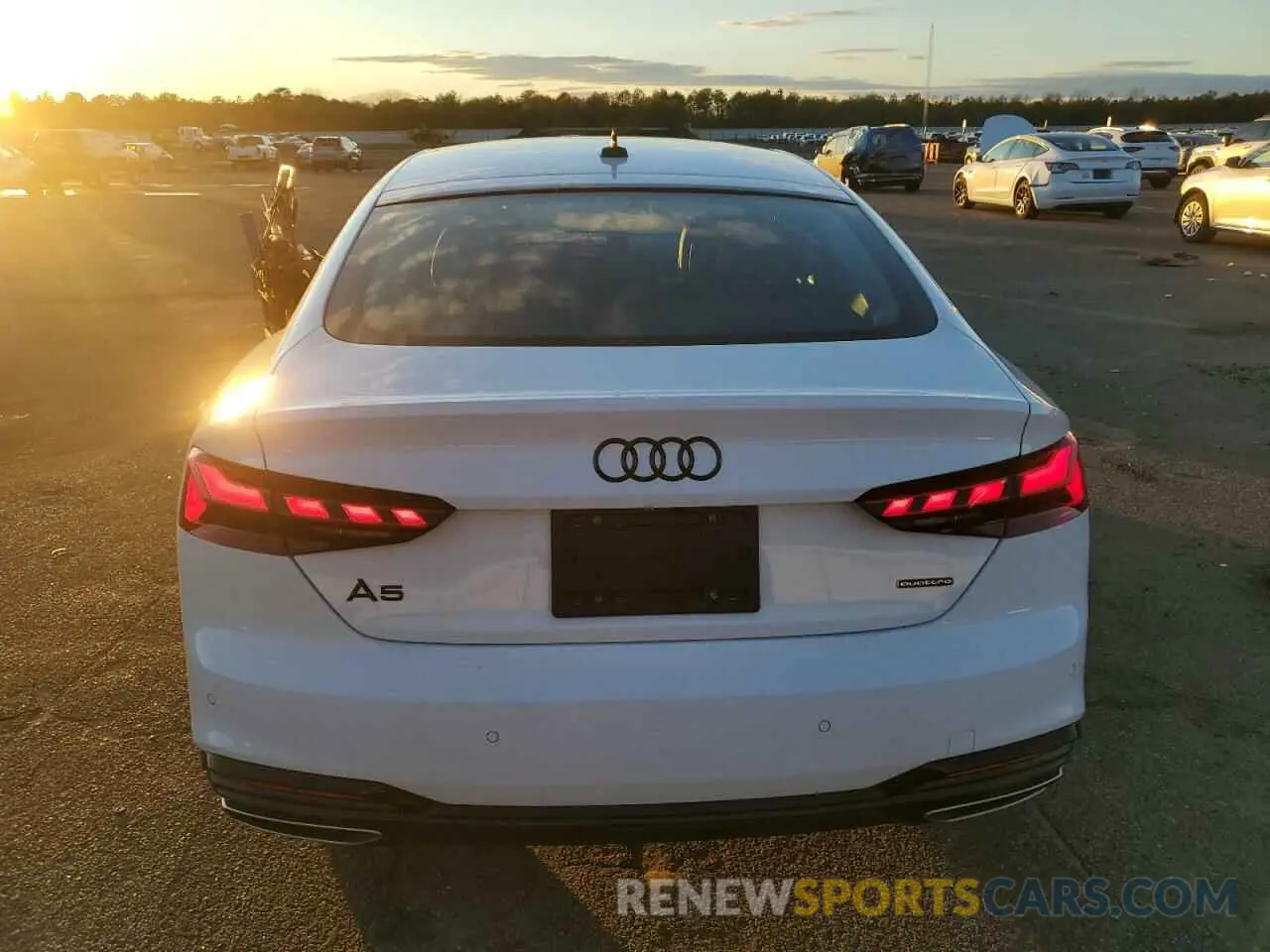 6 Photograph of a damaged car WAUDACF5XRA084903 AUDI A5 2024