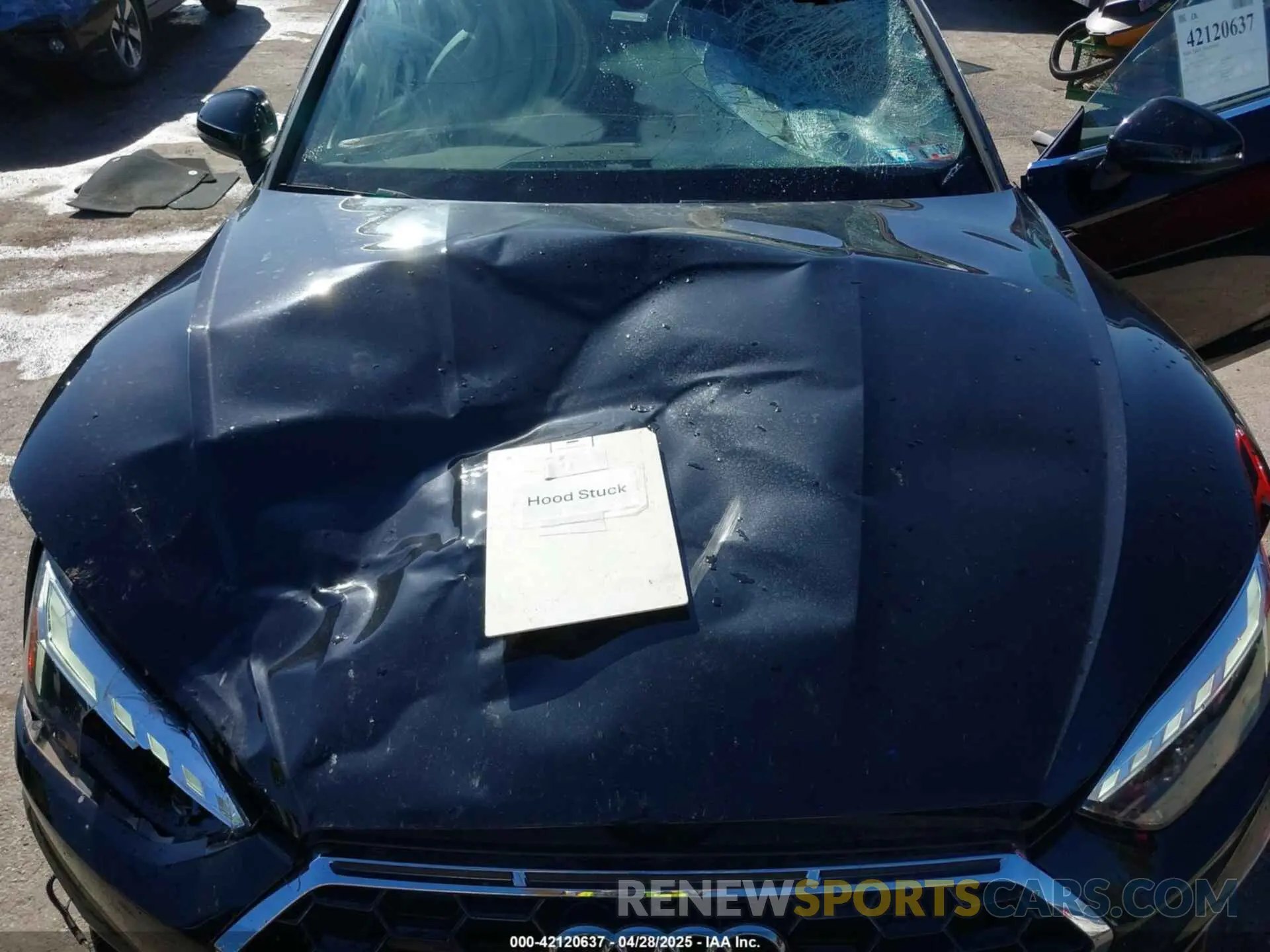 10 Photograph of a damaged car WAUFACF5XNA015812 AUDI A5 SPORTBACK 2022