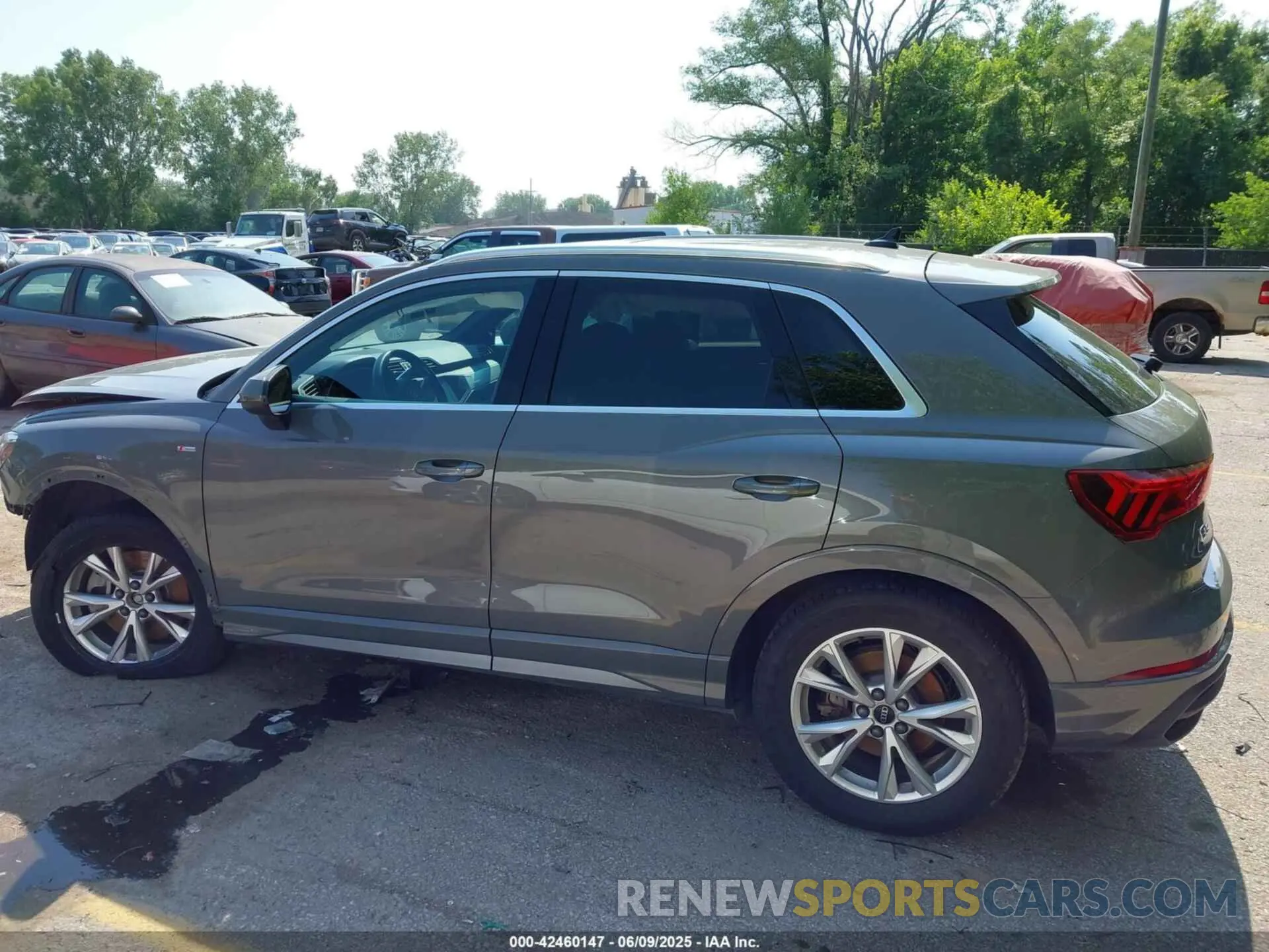 13 Photograph of a damaged car WA1DECF36R1056628 AUDI Q3 2024
