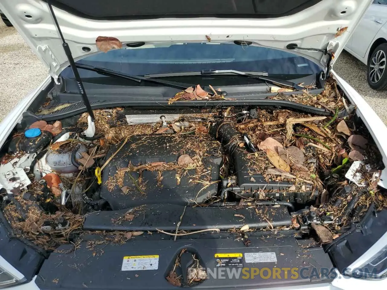 12 Photograph of a damaged car WA1EECF31R1020494 AUDI Q3 2024