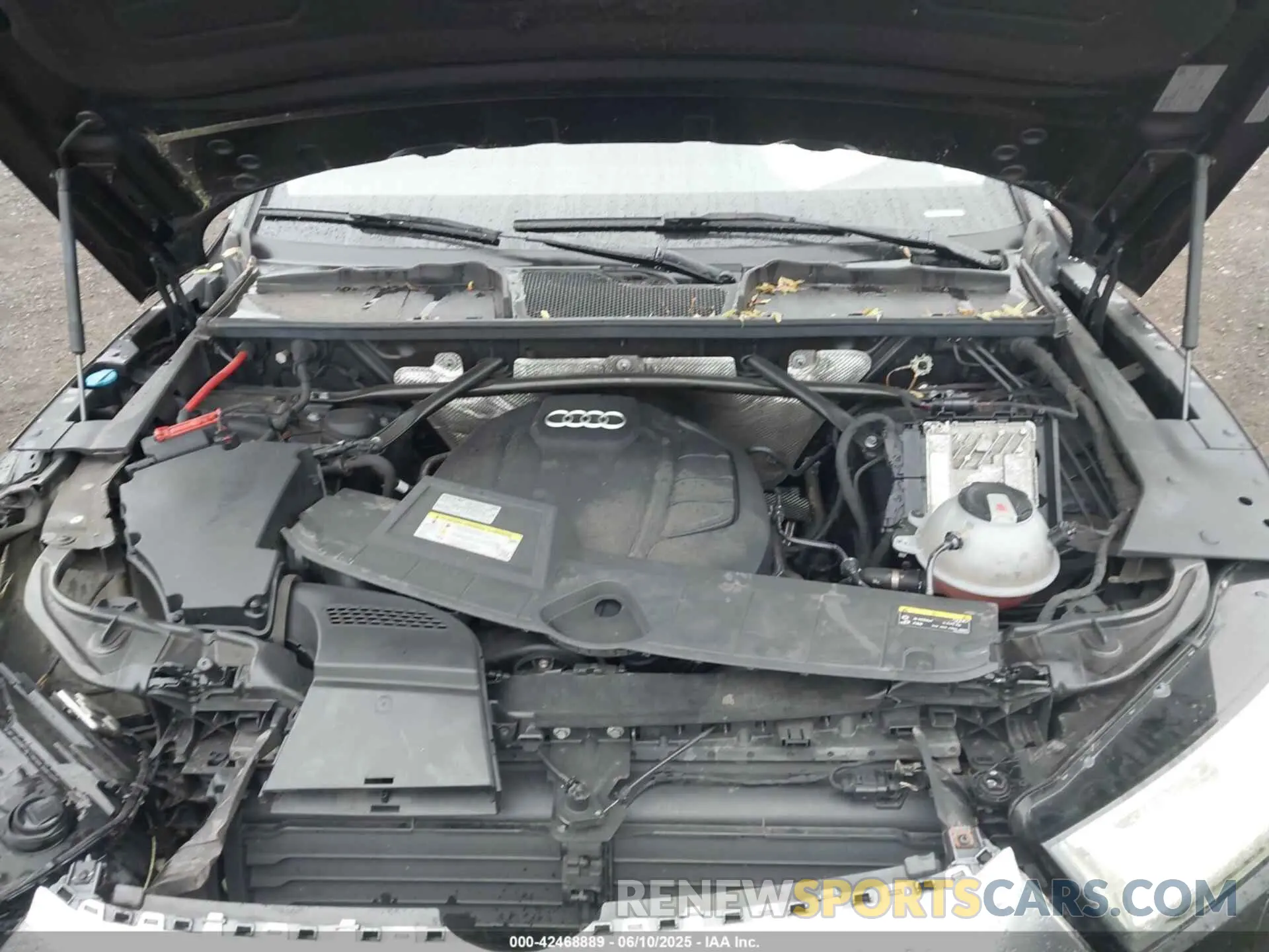 10 Photograph of a damaged car WA1BNAFY0K2079460 AUDI Q5 2019