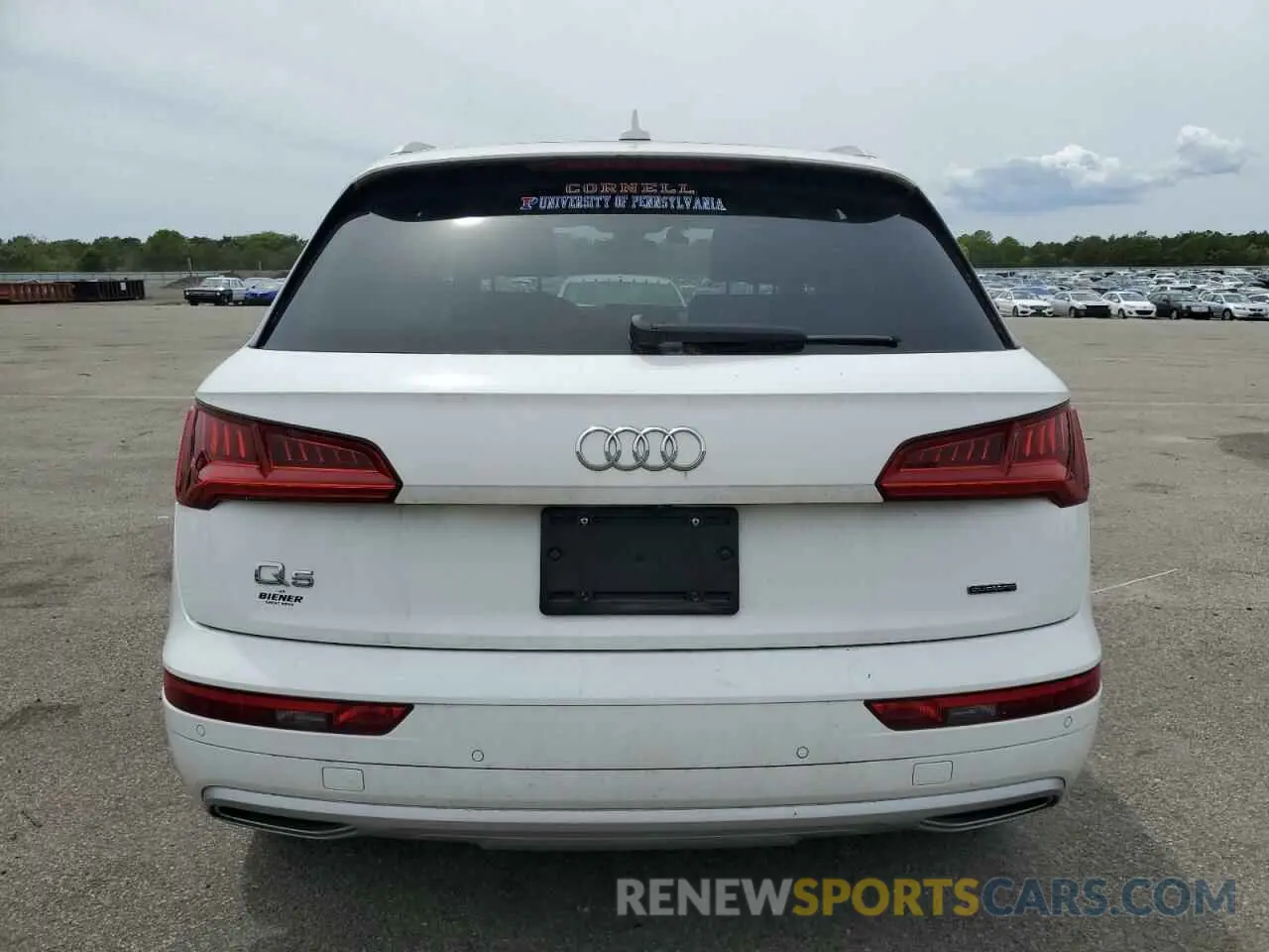 6 Photograph of a damaged car WA1BNAFY3K2028356 AUDI Q5 2019