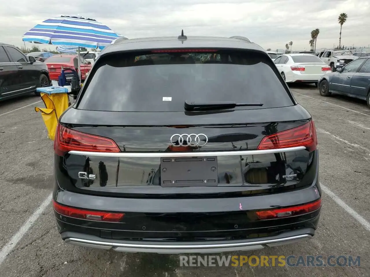 6 Photograph of a damaged car WA1ABAFY6R2137571 AUDI Q5 2024