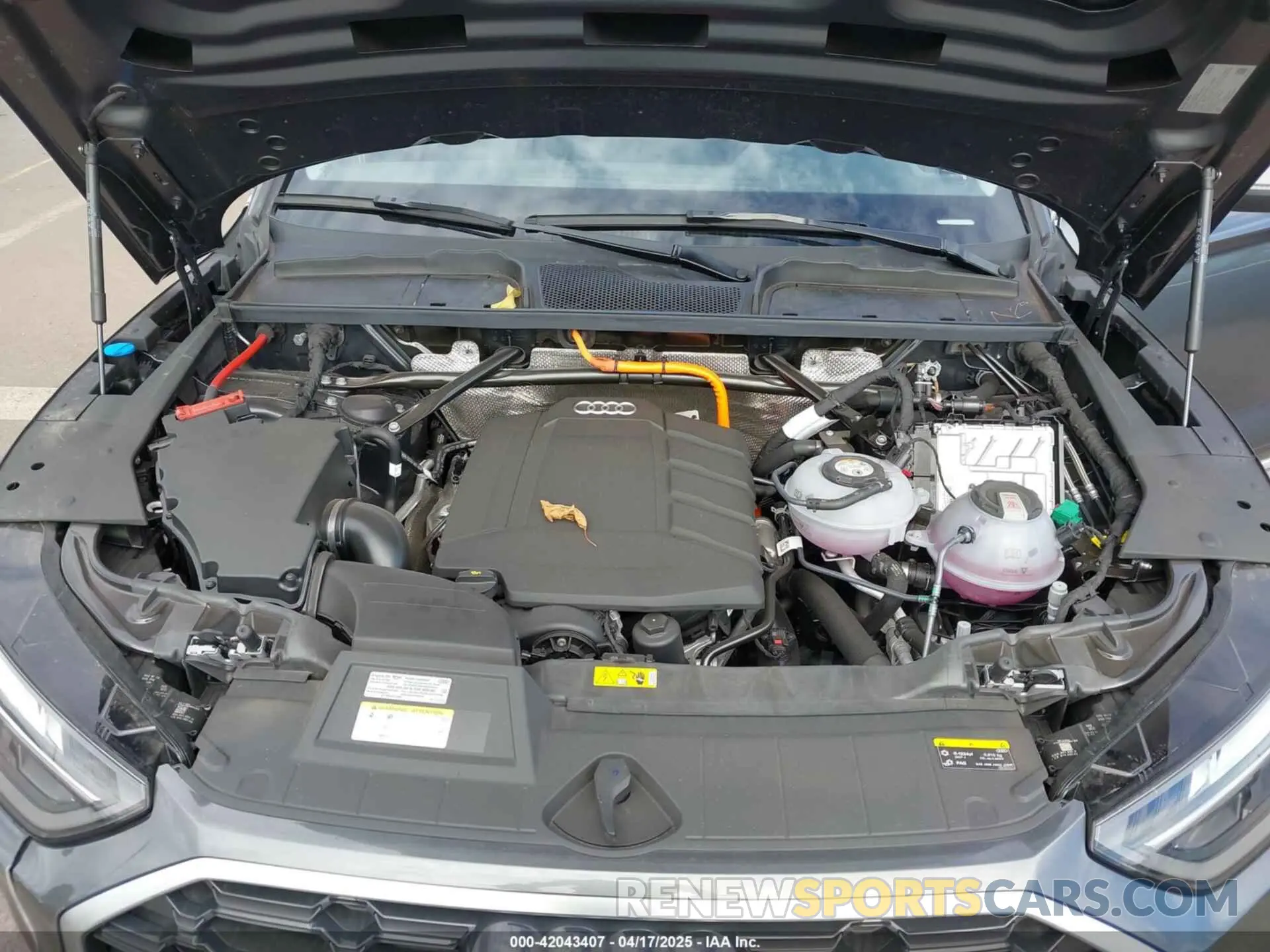 10 Photograph of a damaged car WA1G2AFY0R2063378 AUDI Q5 2024