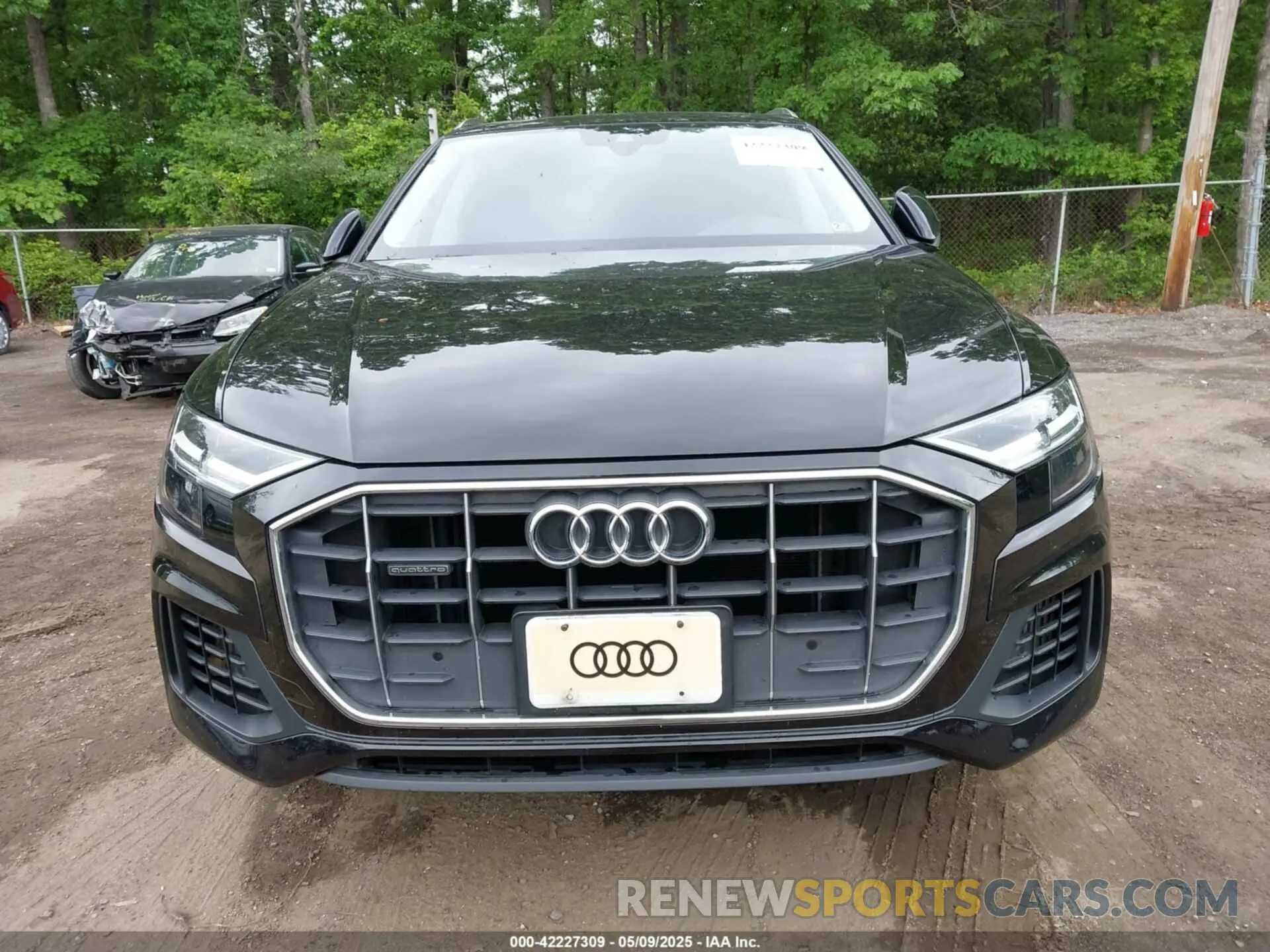 12 Photograph of a damaged car WA1AVAF16KD019301 AUDI Q8 2019