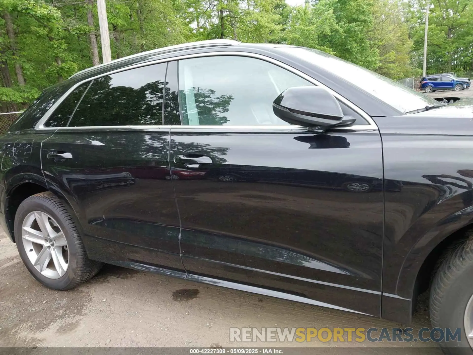 13 Photograph of a damaged car WA1AVAF16KD019301 AUDI Q8 2019