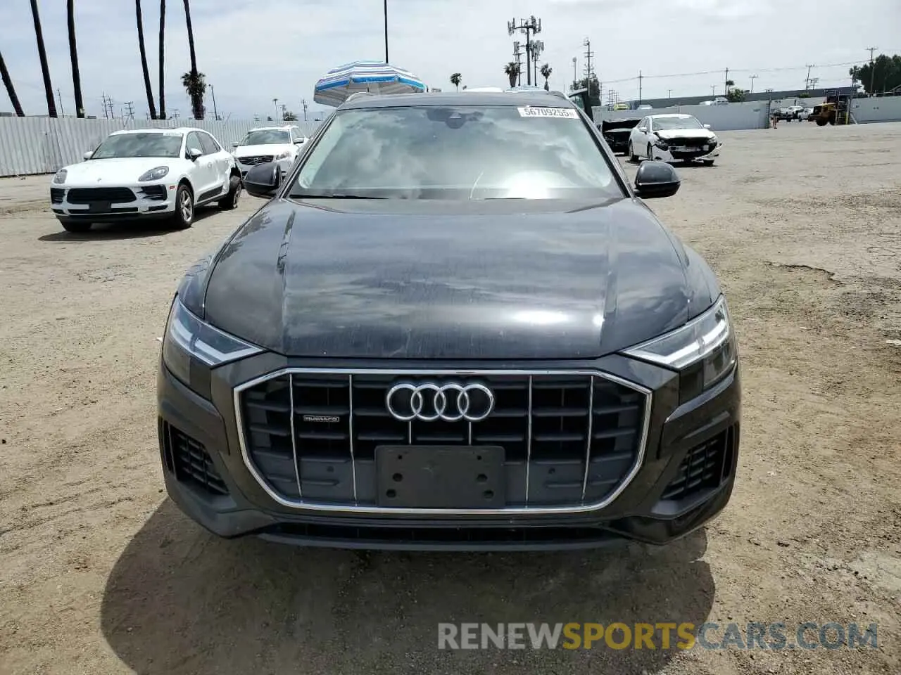 5 Photograph of a damaged car WA1AVAF19KD010561 AUDI Q8 2019