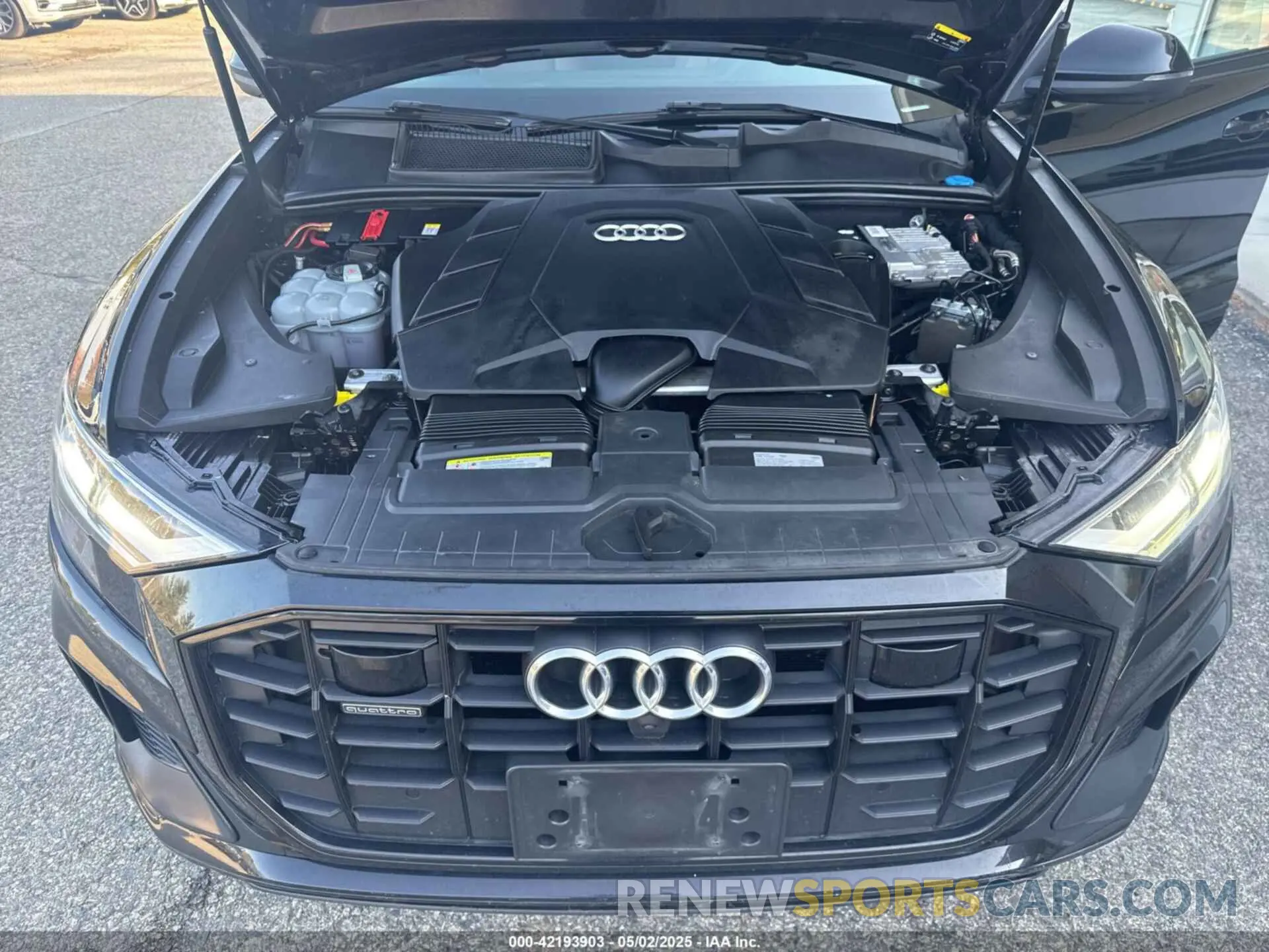 10 Photograph of a damaged car WA1EVAF16KD031014 AUDI Q8 2019