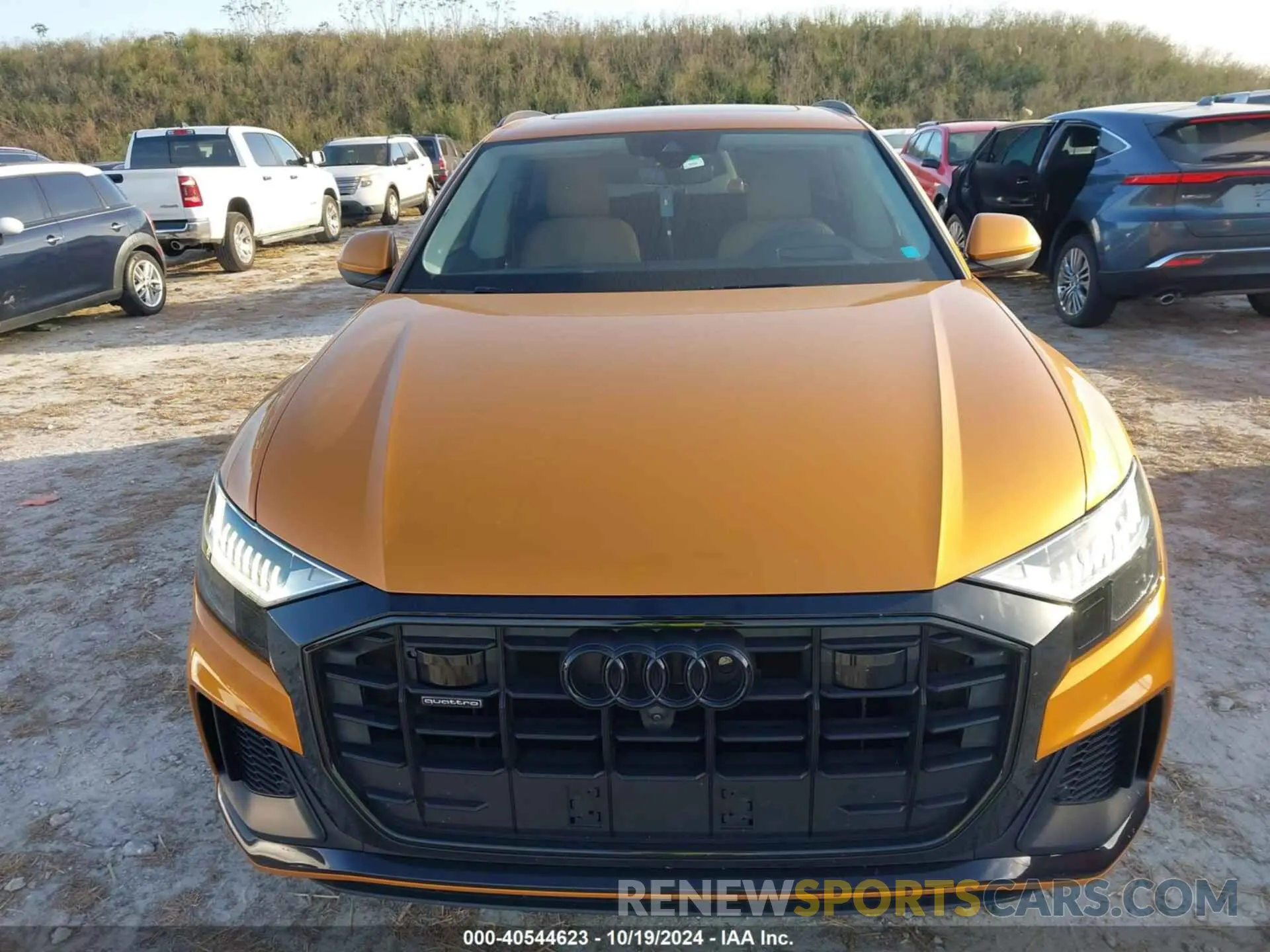 12 Photograph of a damaged car WA1FVBF12ND005170 AUDI Q8 2022
