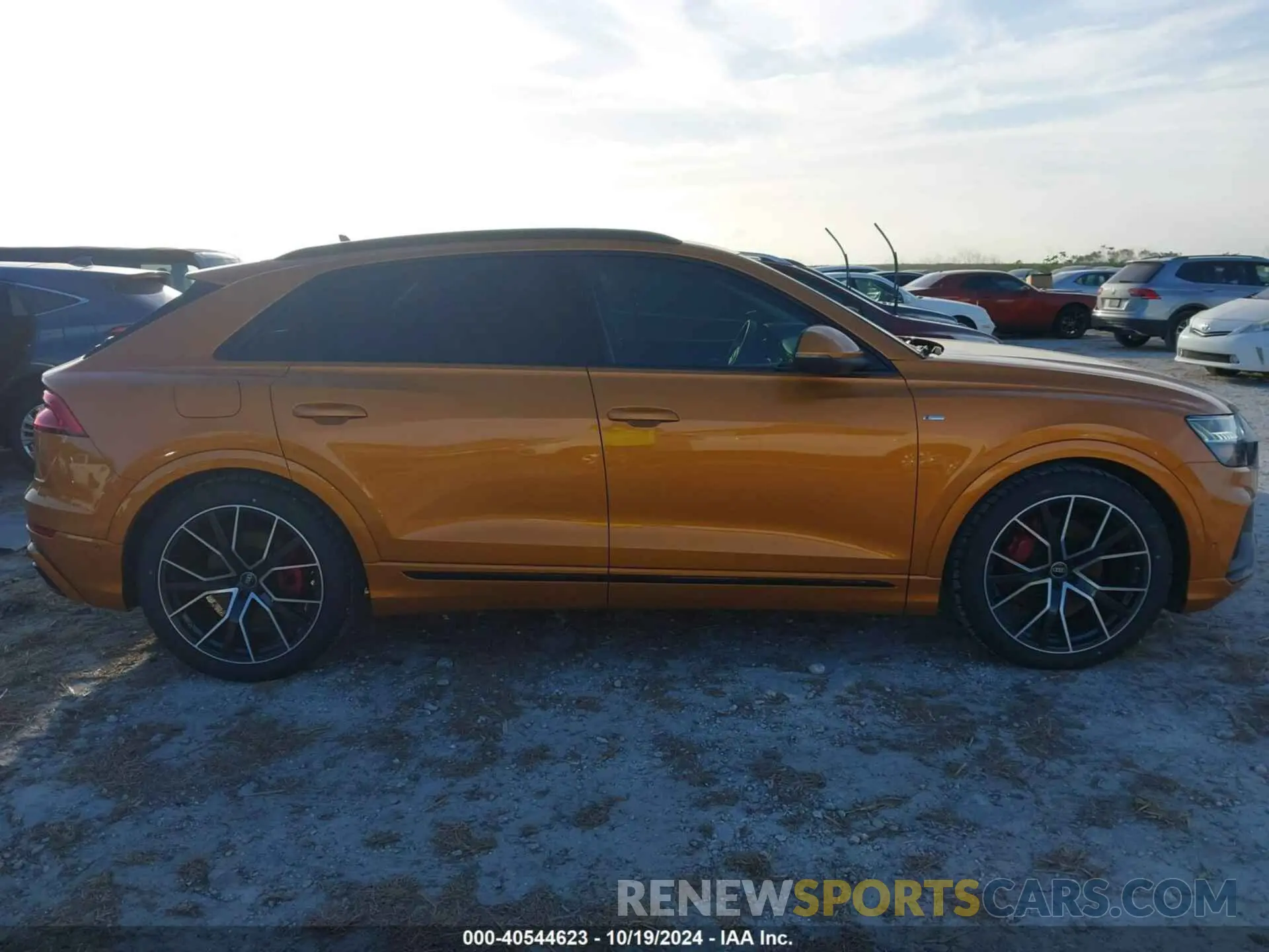 13 Photograph of a damaged car WA1FVBF12ND005170 AUDI Q8 2022