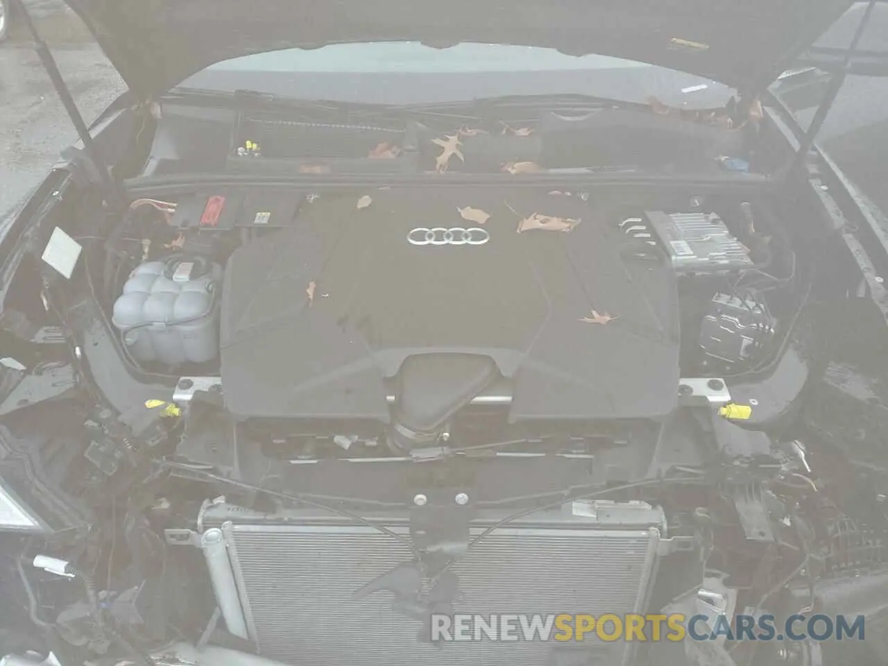 12 Photograph of a damaged car WA1AVBF19PD025218 AUDI Q8 2023