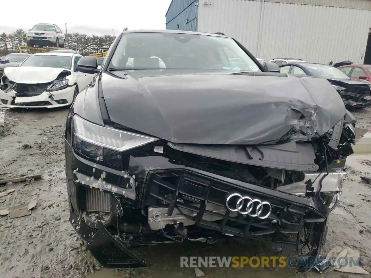 5 Photograph of a damaged car WA1EVBF15PD014671 AUDI Q8 2023