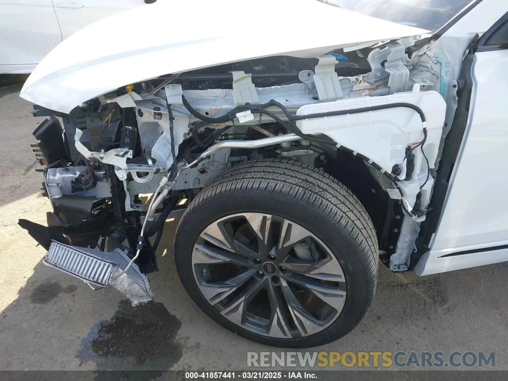 19 Photograph of a damaged car WA1BVBF19RD018552 AUDI Q8 2024