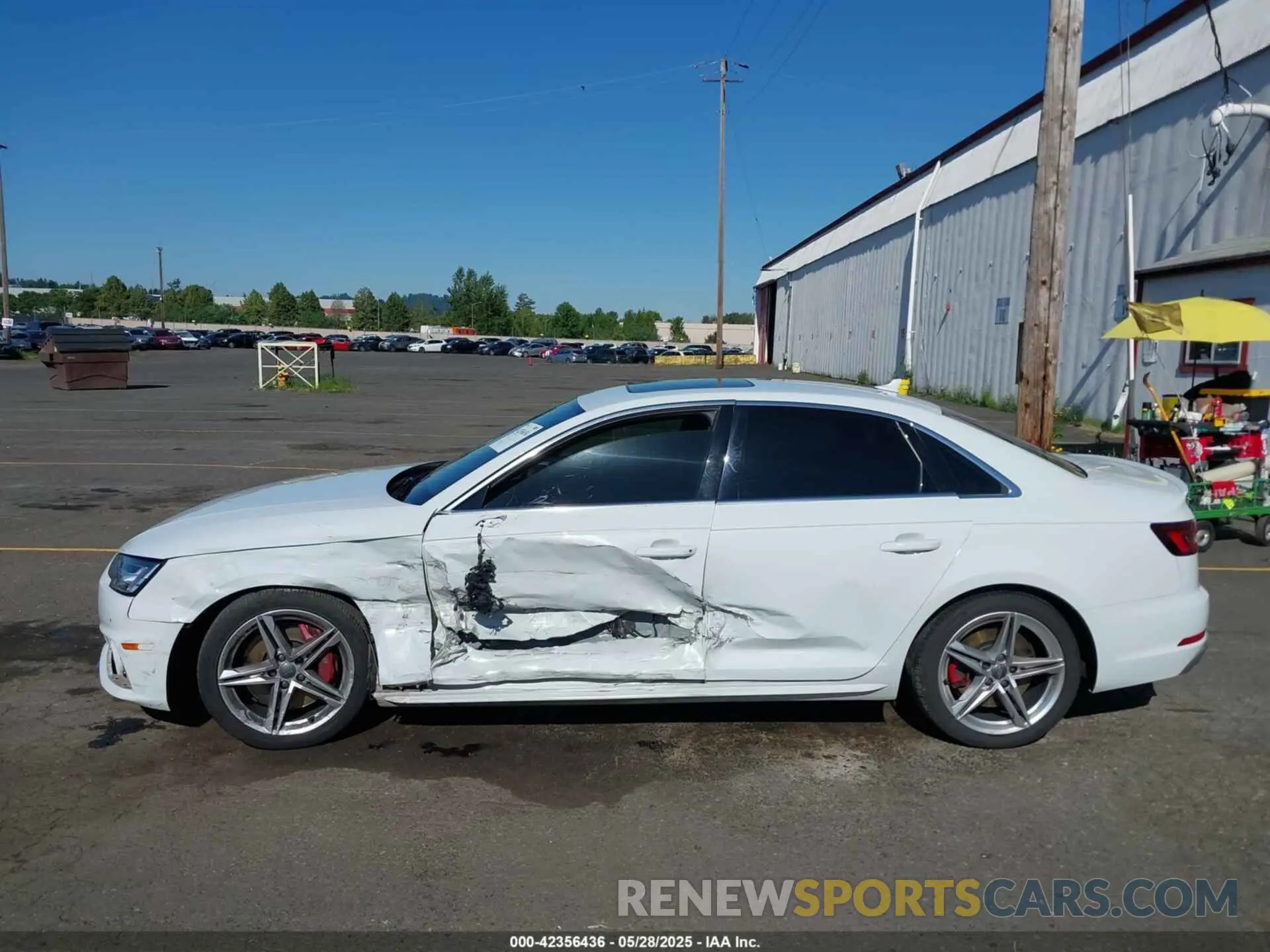 14 Photograph of a damaged car WAUB4AF42KA002839 AUDI S4 2019