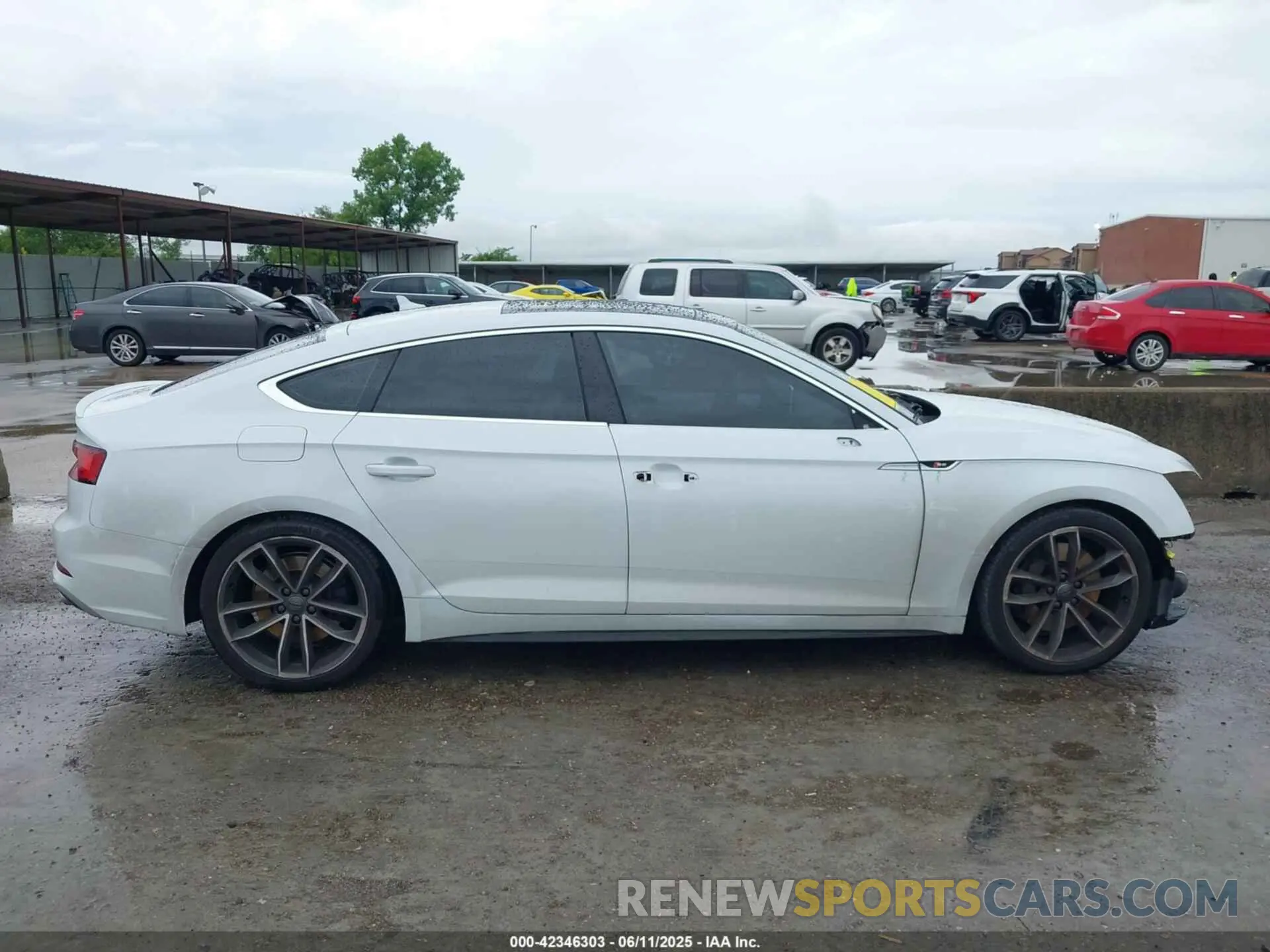 14 Photograph of a damaged car WAUB4CF54KA090815 AUDI S5 2019