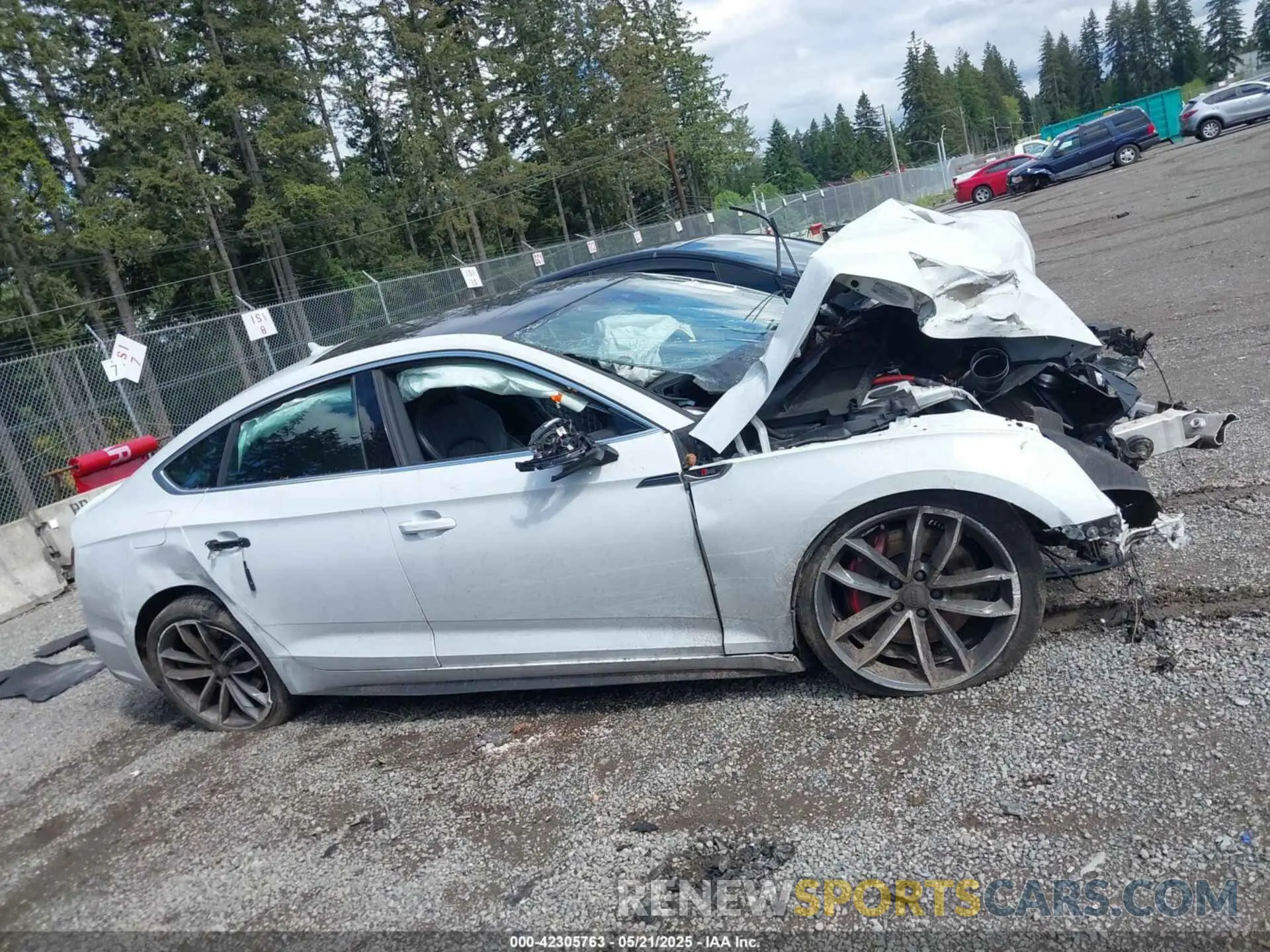 13 Photograph of a damaged car WAUC4CF59KA026631 AUDI S5 2019