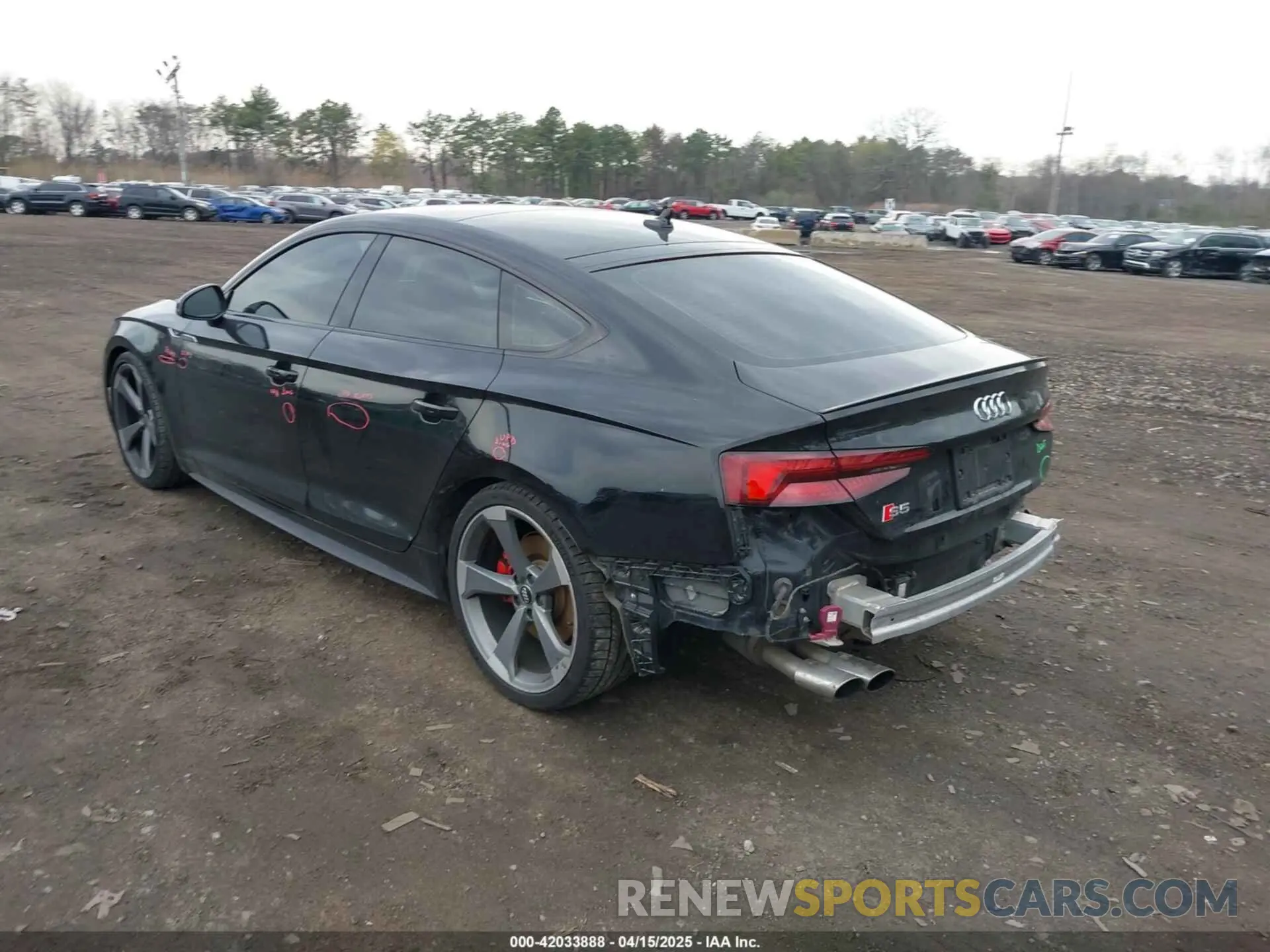 3 Photograph of a damaged car WAUC4CF59KA042991 AUDI S5 2019