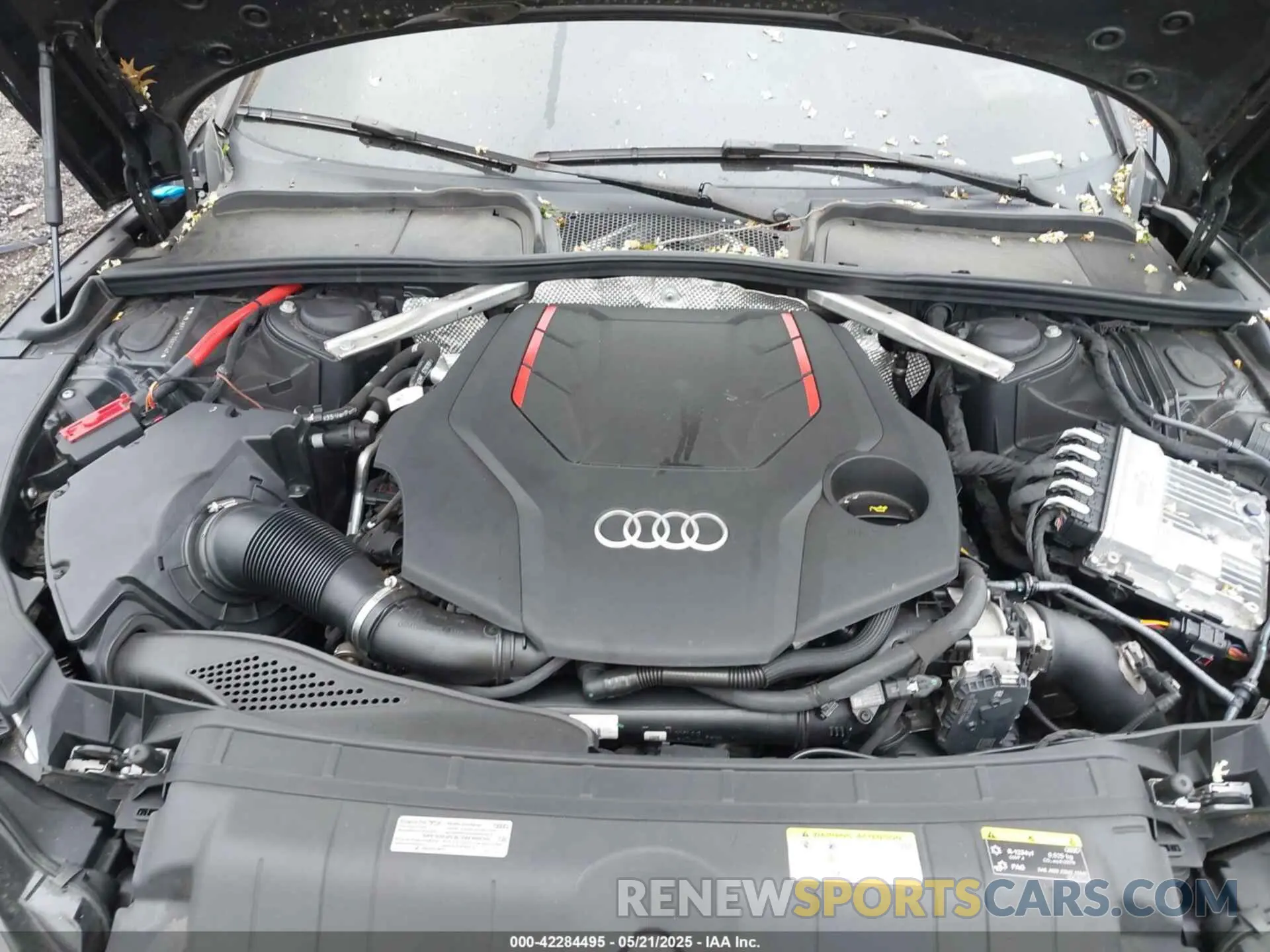 10 Photograph of a damaged car WAUC4CF53PA065545 AUDI S5 SPORTBACK 2023
