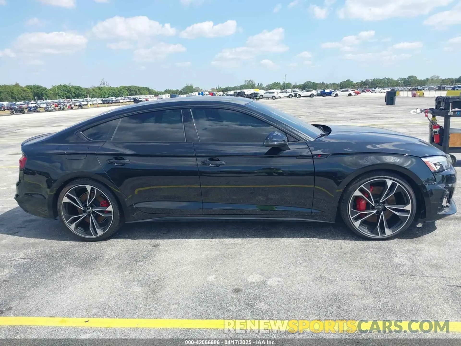 13 Photograph of a damaged car WAUB4CF53RA020992 AUDI S5 SPORTBACK 2024