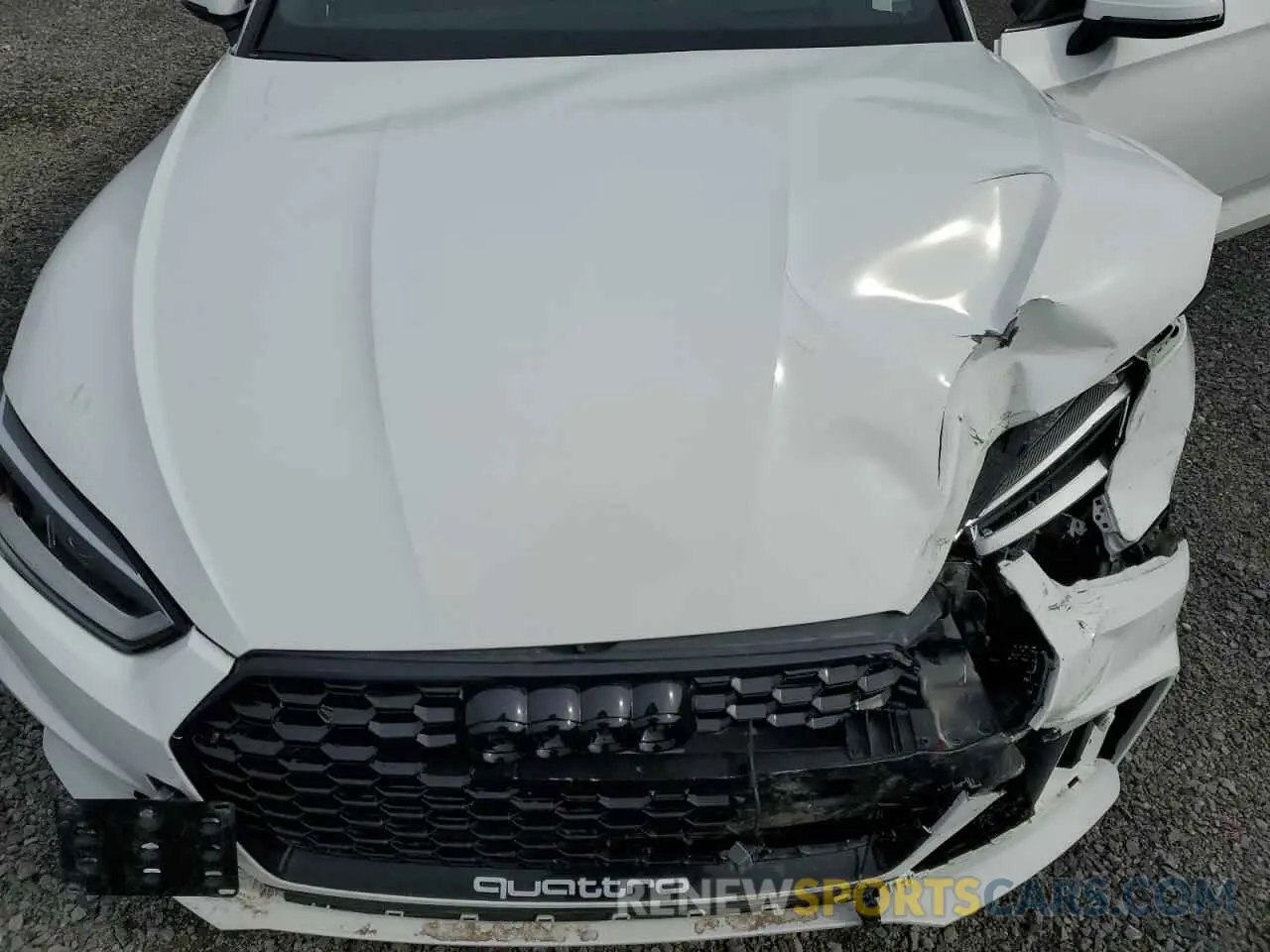 11 Photograph of a damaged car WAUC4CF52KA015941 AUDI S5/RS5 2019