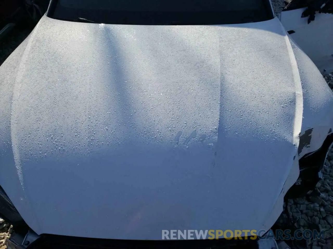 11 Photograph of a damaged car WAUC4CF55KA030059 AUDI S5/RS5 2019