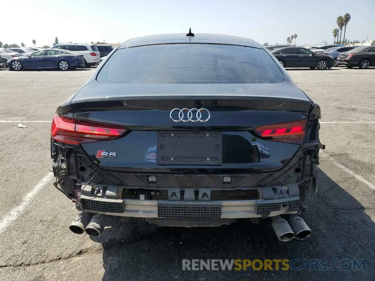 6 Photograph of a damaged car WAUC4CF51NA026949 AUDI S5/RS5 2022