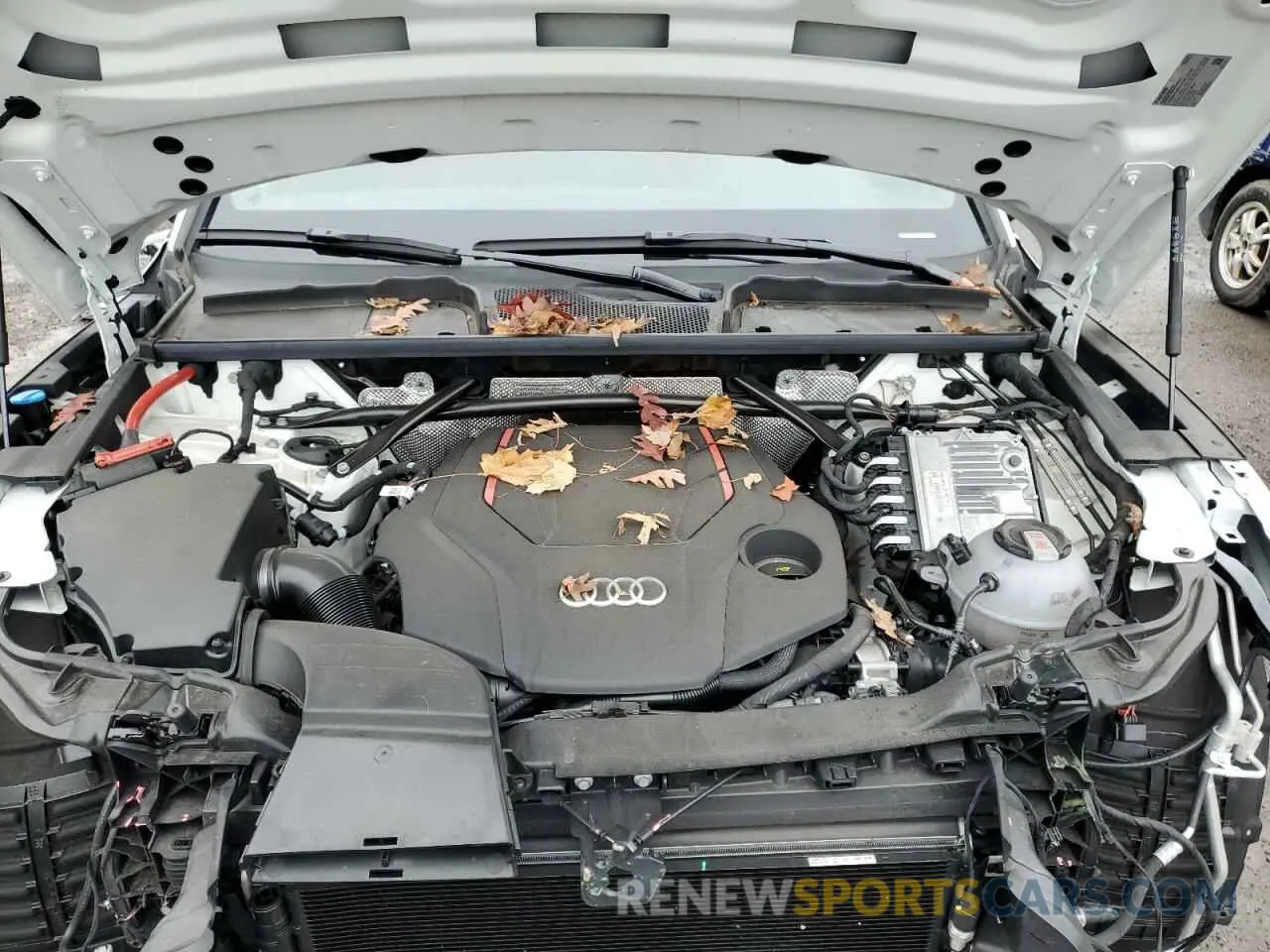 12 Photograph of a damaged car WA124AFY1R2012511 AUDI SQ5 SPORTB 2024
