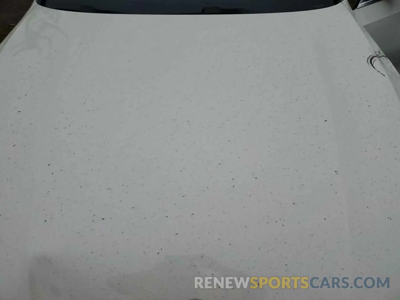 11 Photograph of a damaged car 3MW5R7J04M8B48387 BMW 3 SERIES 2021