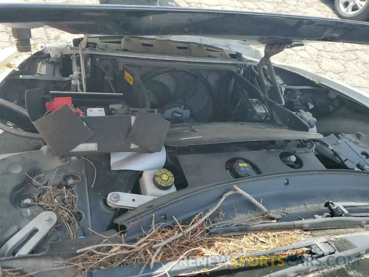 11 Photograph of a damaged car WBY2Z6C57KVG98025 BMW I SERIES 2019