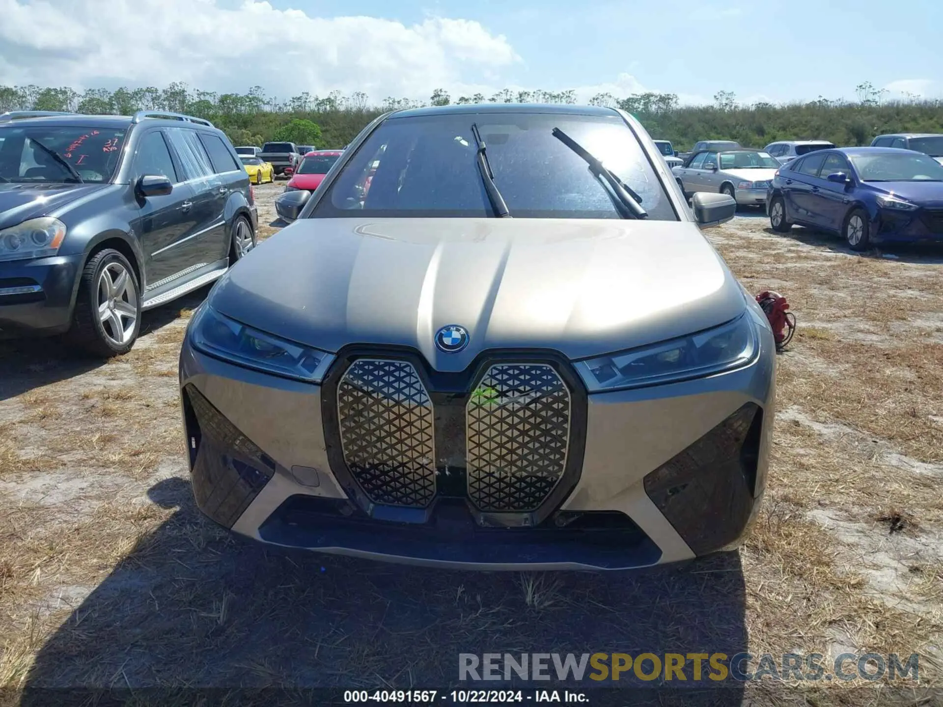 11 Photograph of a damaged car WB533CF08RCN81137 BMW IX 2024