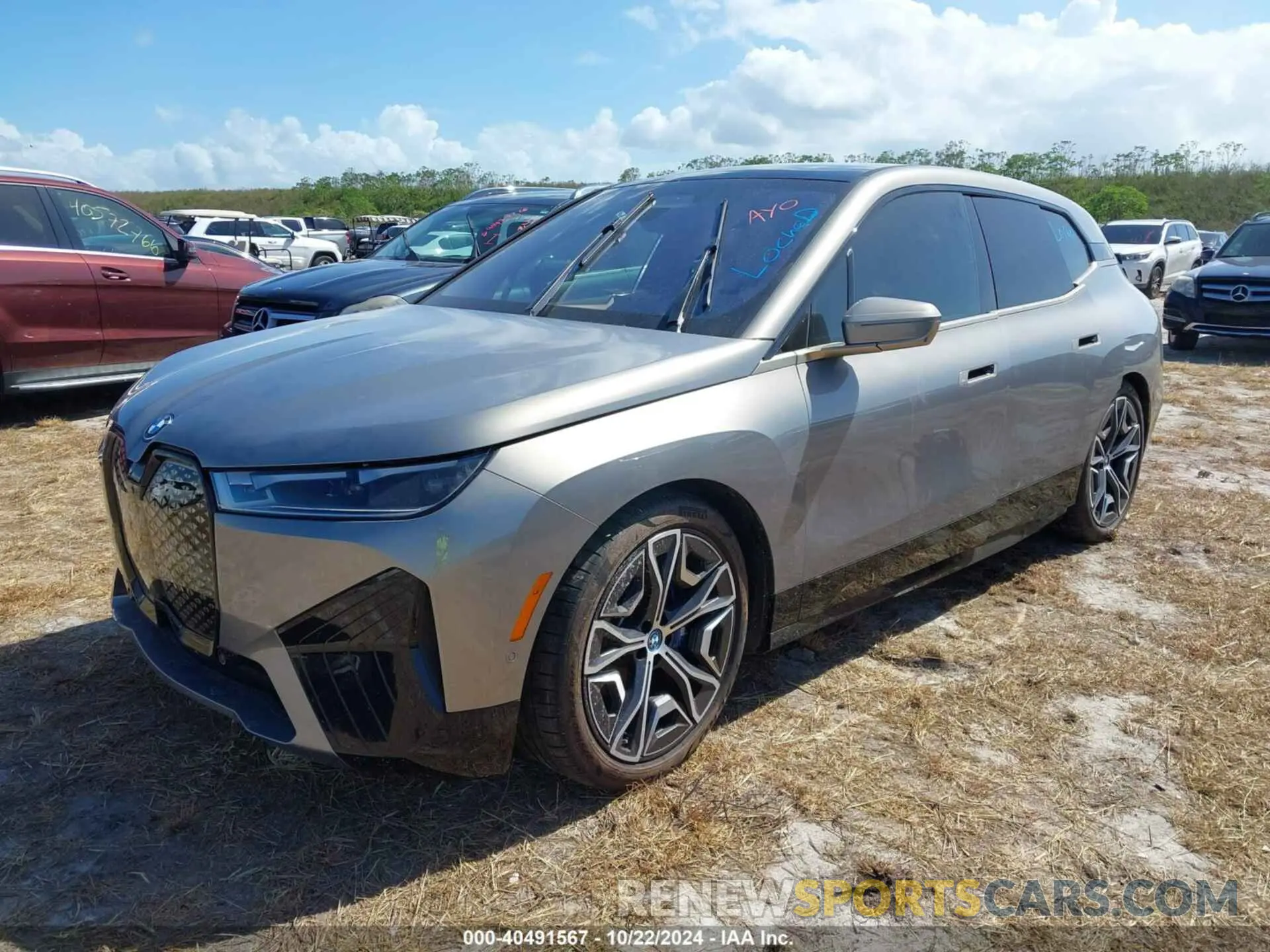 2 Photograph of a damaged car WB533CF08RCN81137 BMW IX 2024
